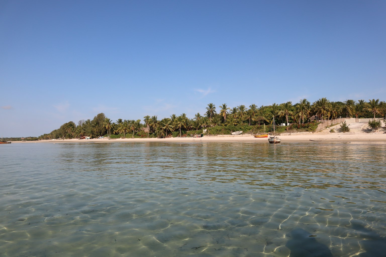 Vista panoramica della spiaggia con acqua cristallina e cielo blu fiancheggiata da palme verdi