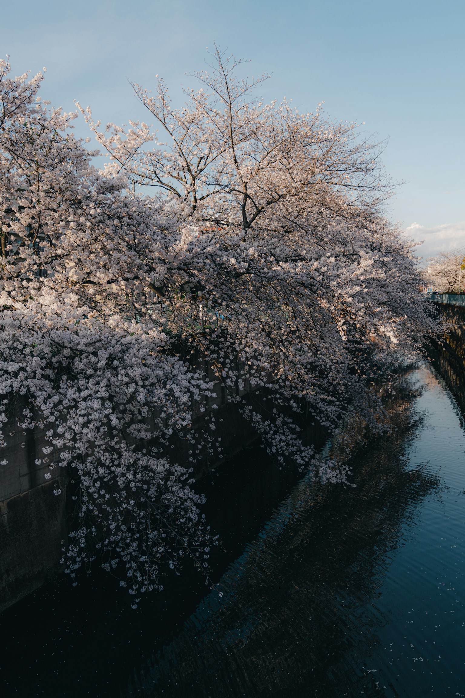 photo-POgk9mcYP1YWLFMBkZUY-image