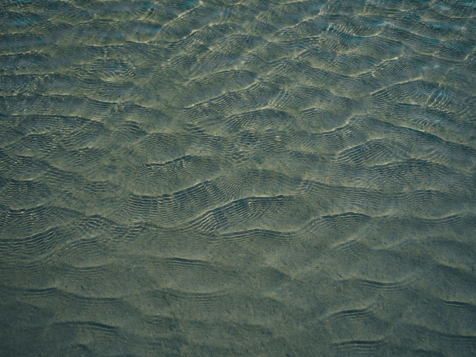 沙灘表面的特寫，帶有波紋