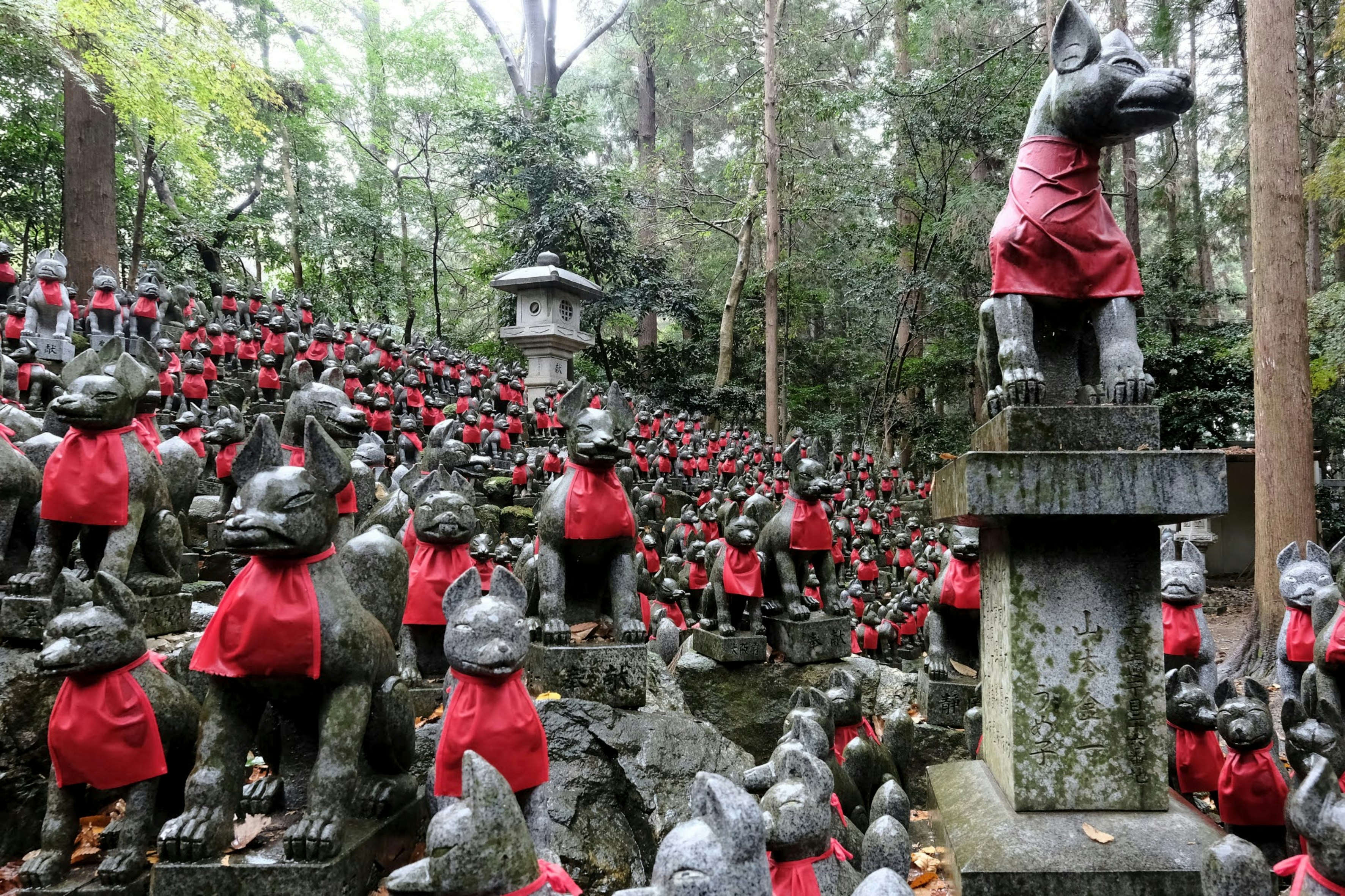 雨上がりの境内で赤い前掛けの稲荷狐が並ぶ参道の風景