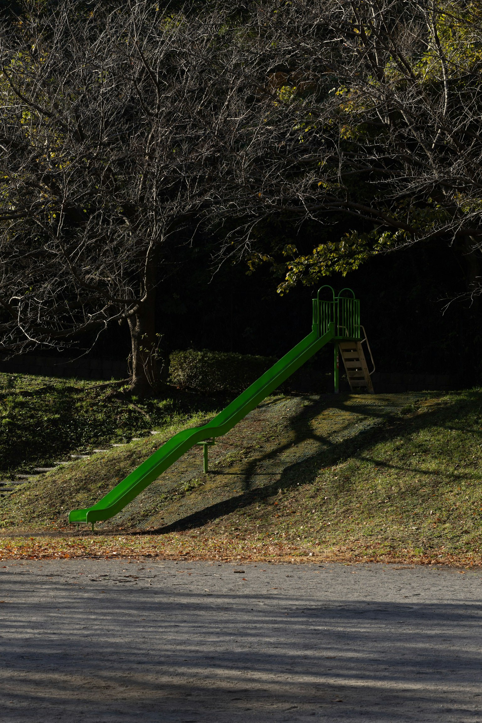 Scivolo verde situato sotto gli alberi in un parco