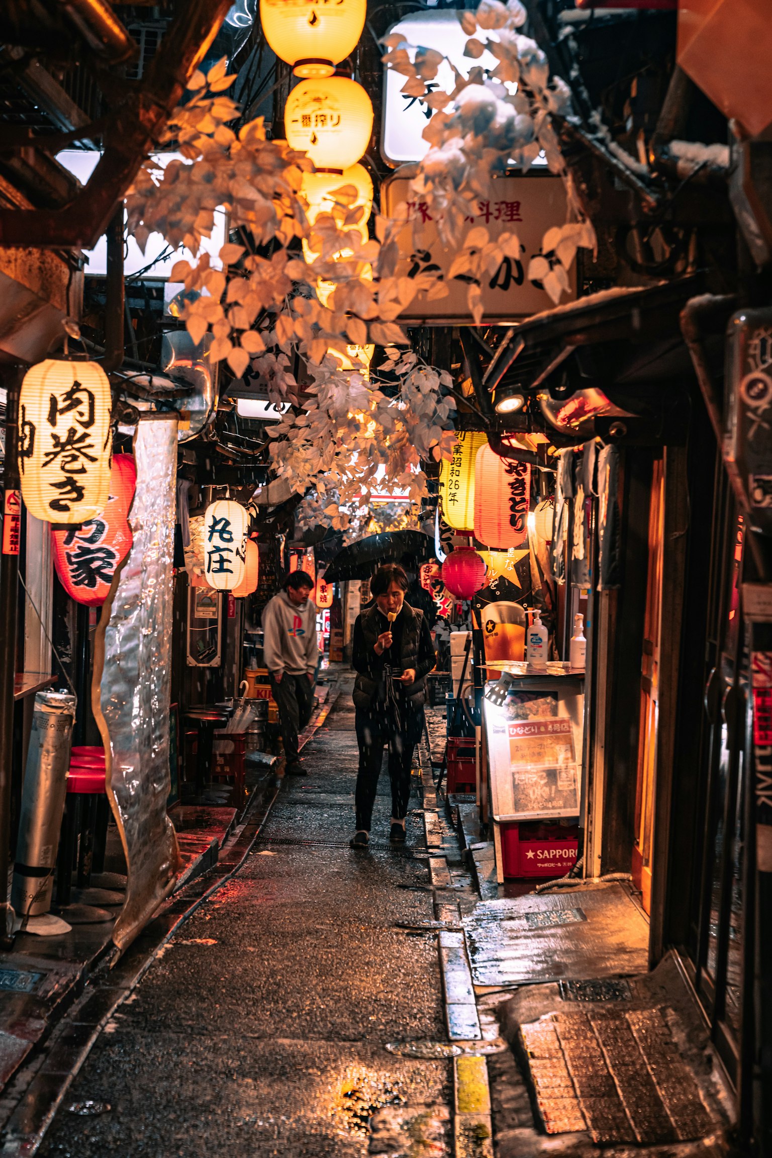 狭窄小巷，夜间装饰着灯笼和樱花