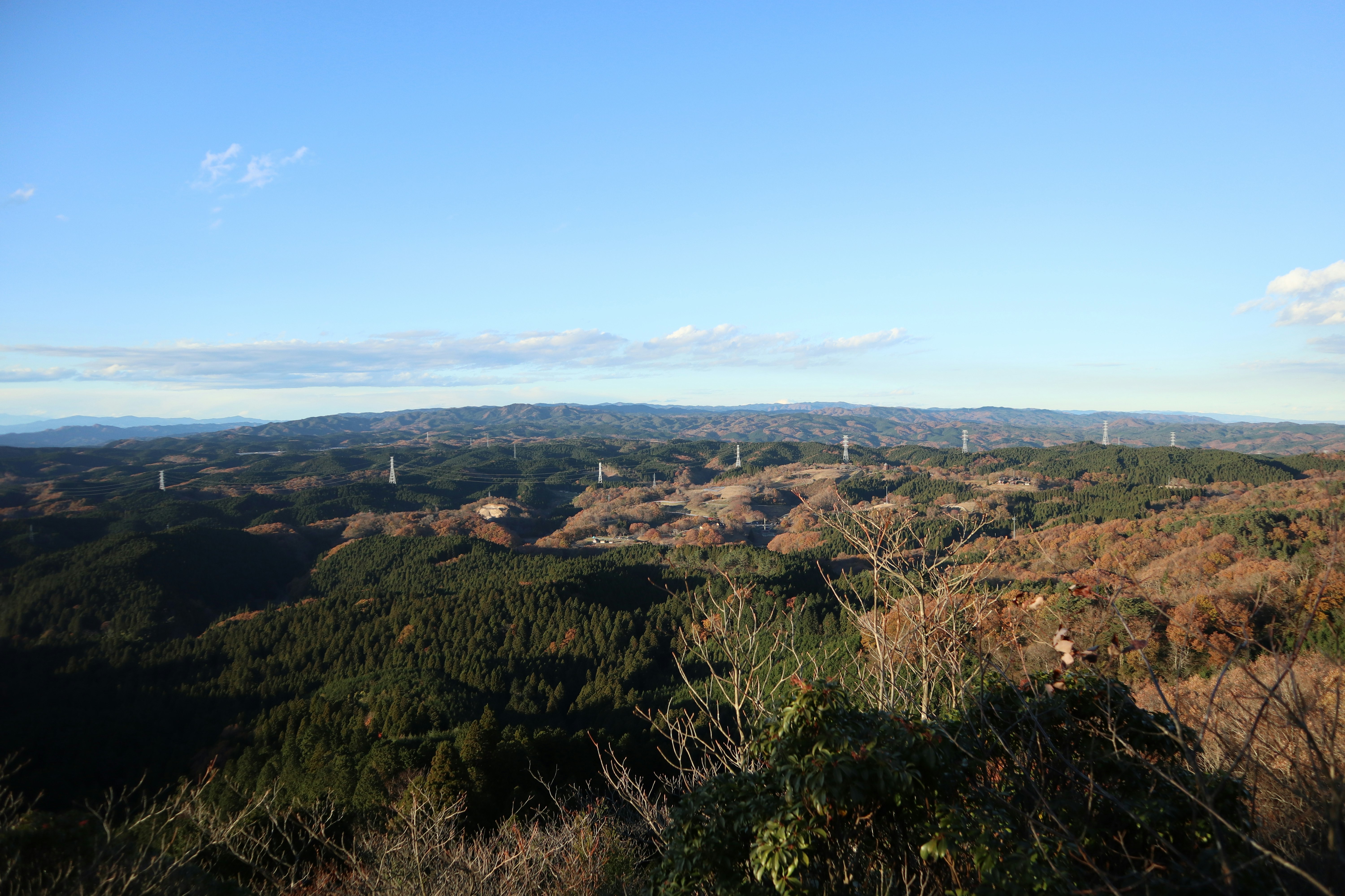 panoramic mountain-and-forest landscape