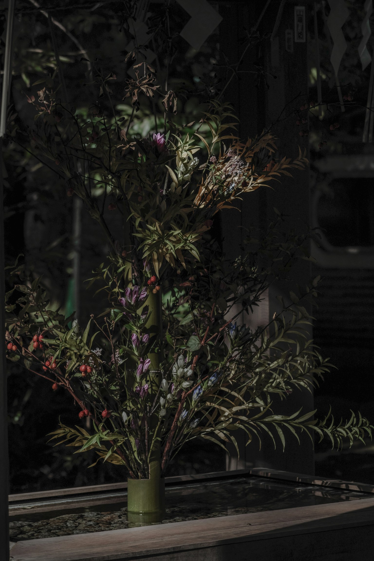 黑暗背景中的绿色和紫色植物的花卉安排