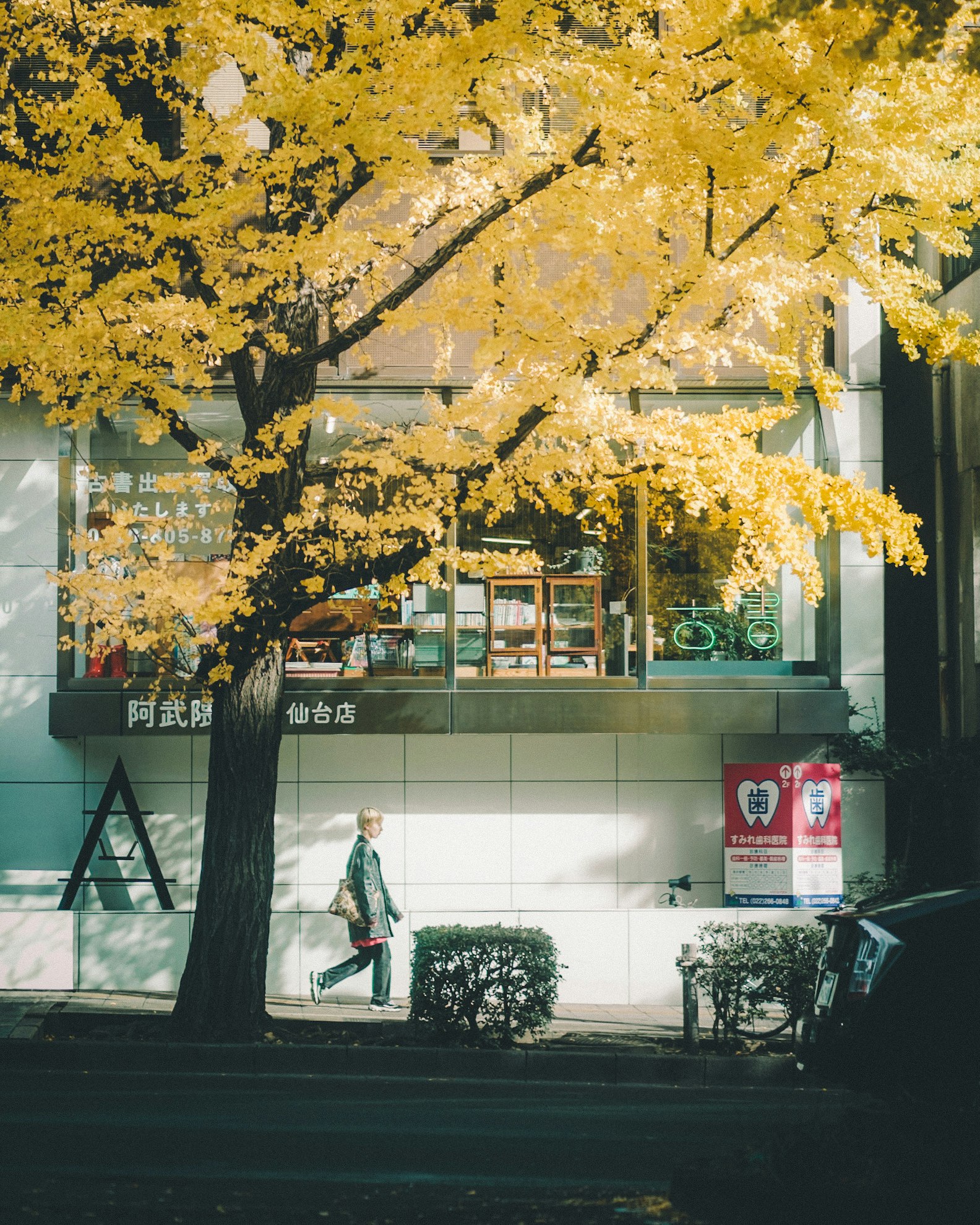 秋の街角で黄色いイチョウの木と店先