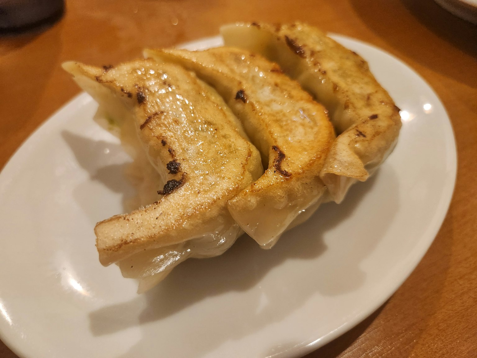 Gyoza fritti serviti su un piatto bianco