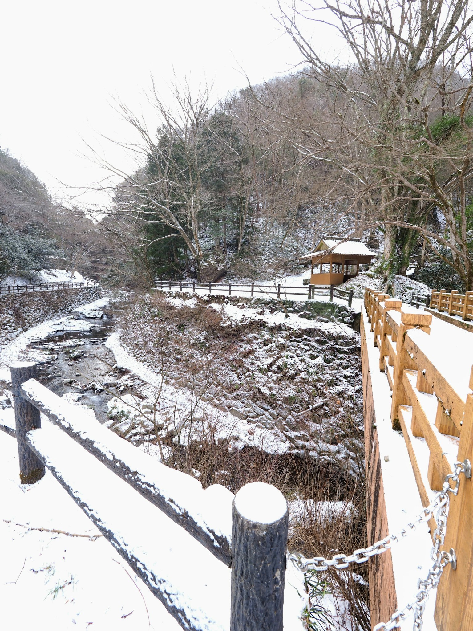 雪覆蓋的河流與木橋和樹木