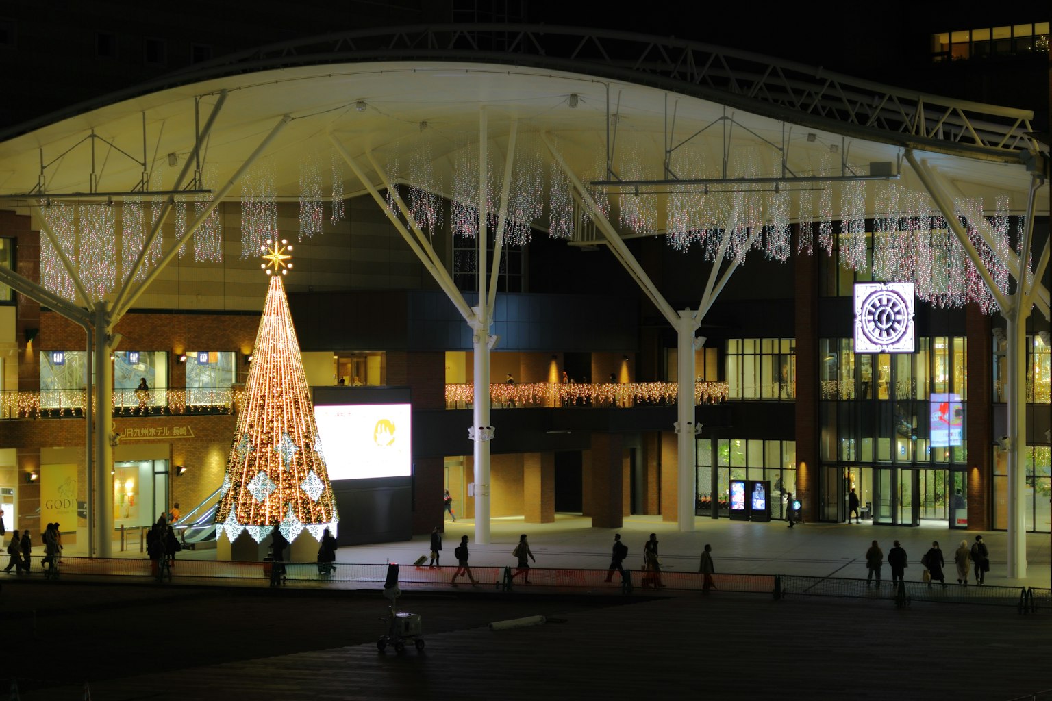 夜间现代建筑前的亮灯圣诞树