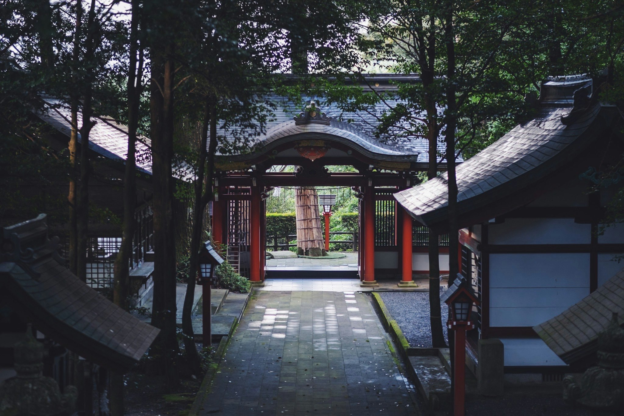 東霧島神社の参道に続く鳥居と石畳の小道