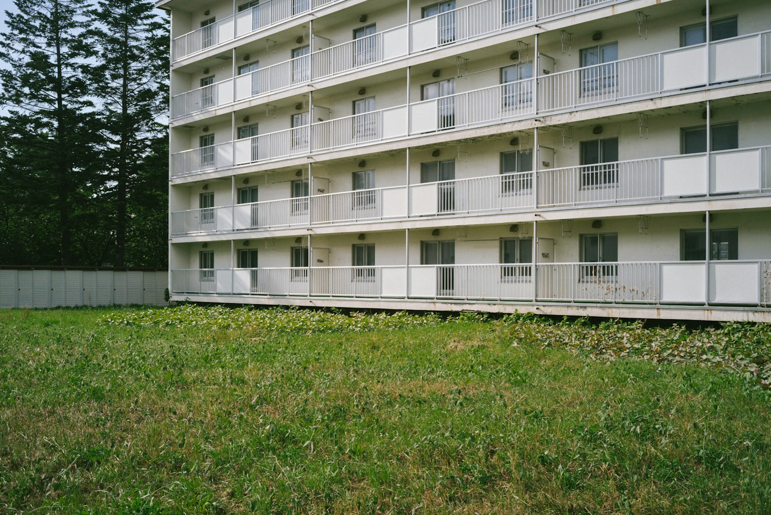 白色公寓外觀和綠色草地