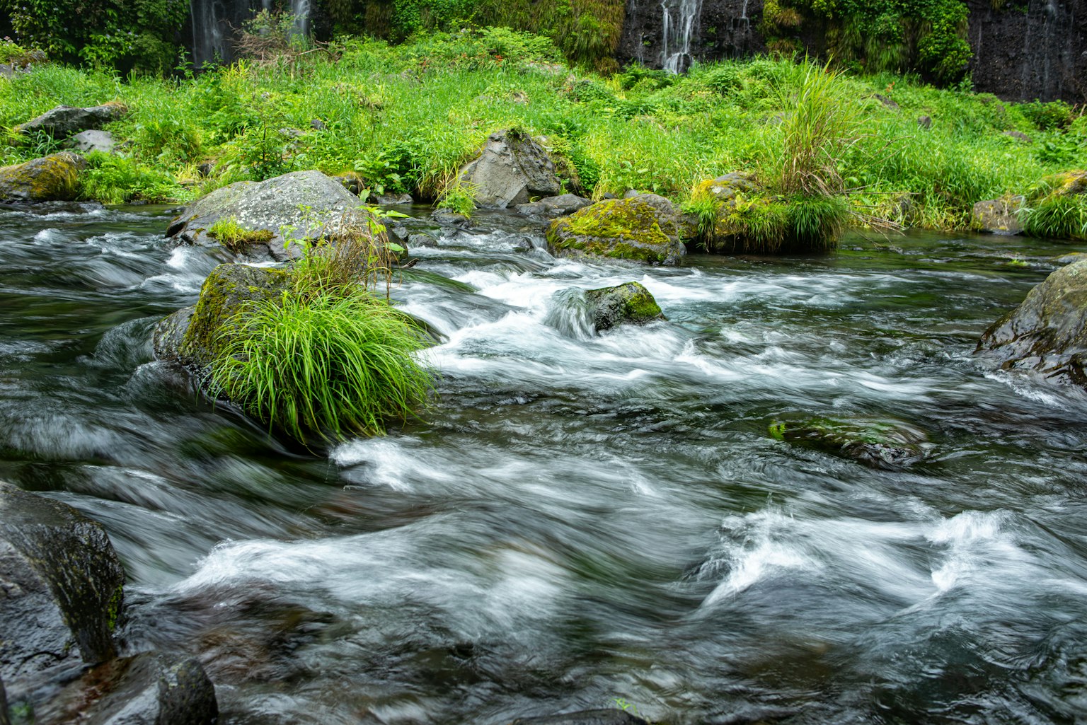 Pemandangan aliran sungai dengan air mengalir lembut dan rumput hijau