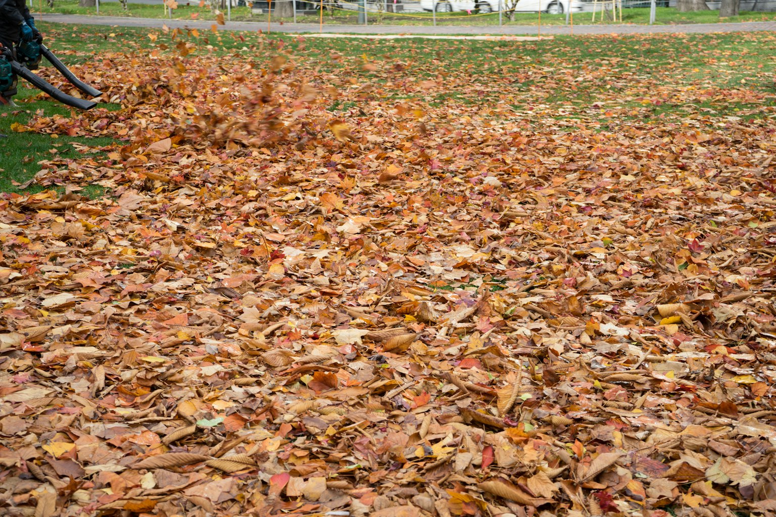 Szene des Sammelns von Herbstblättern mit einem Laubbläser
