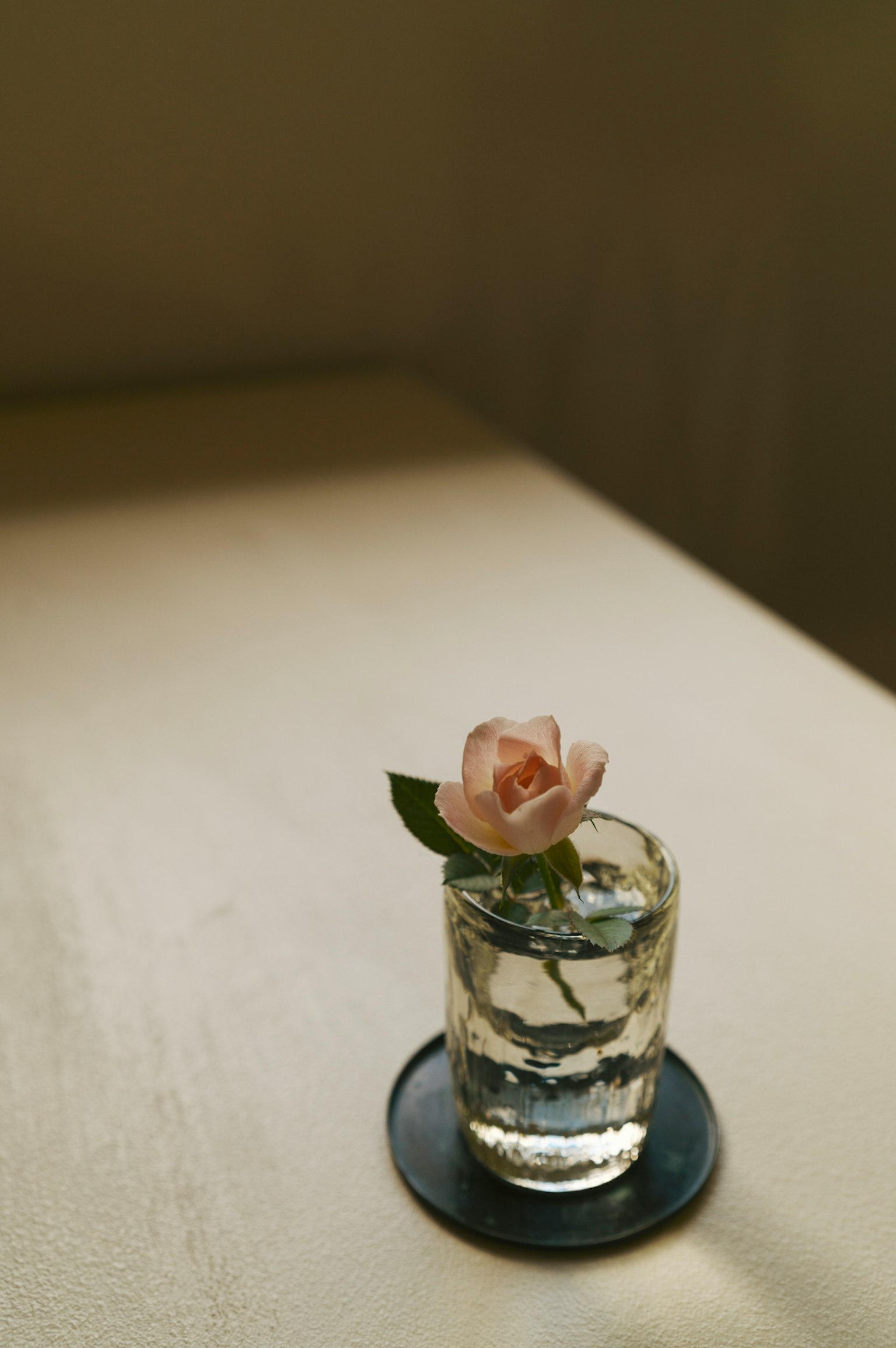 Une photo d'intérieur simple présentant un verre avec une fleur rose flottant dans l'eau