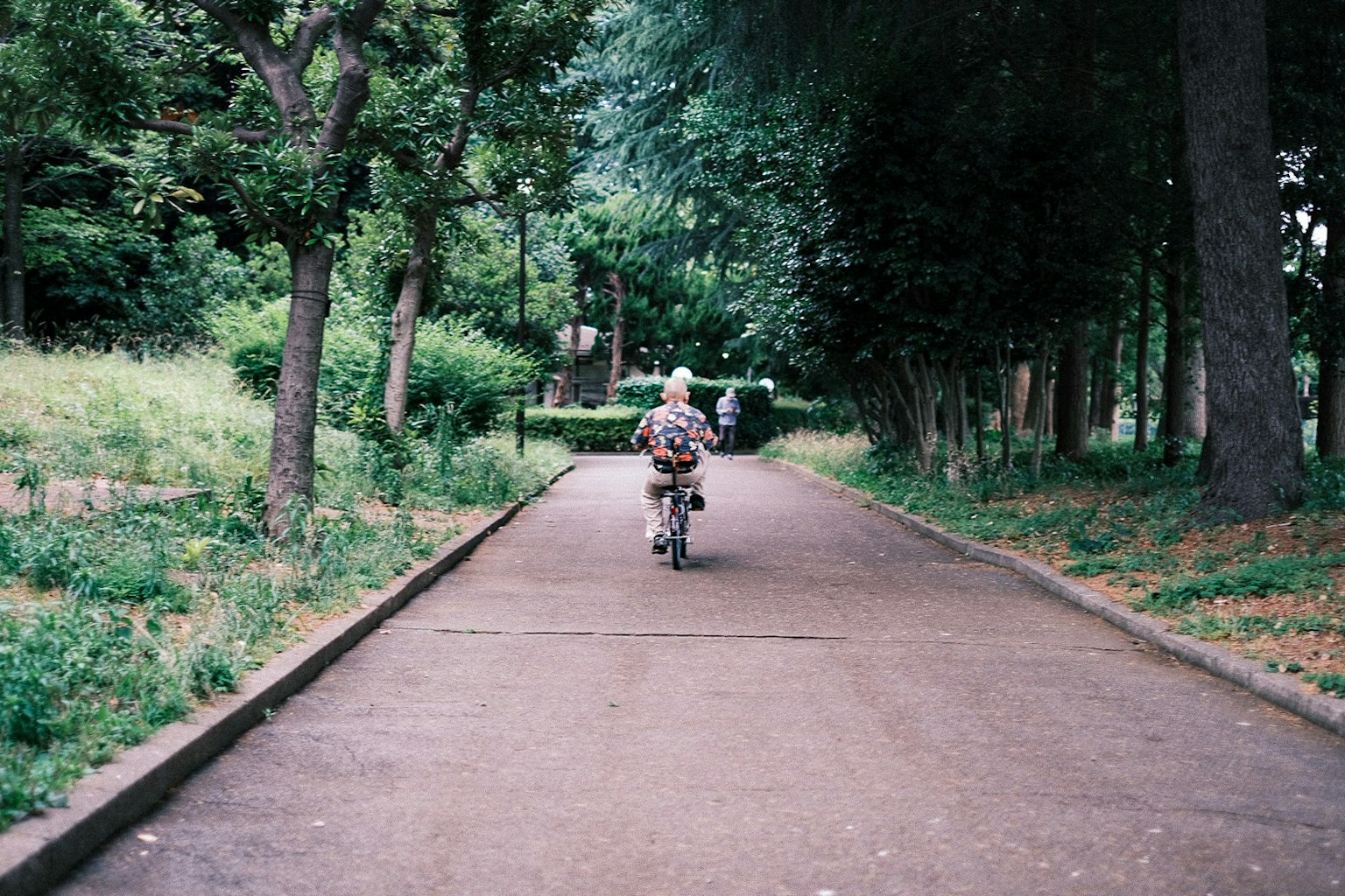 Bambino che pedala su un sentiero circondato da verde