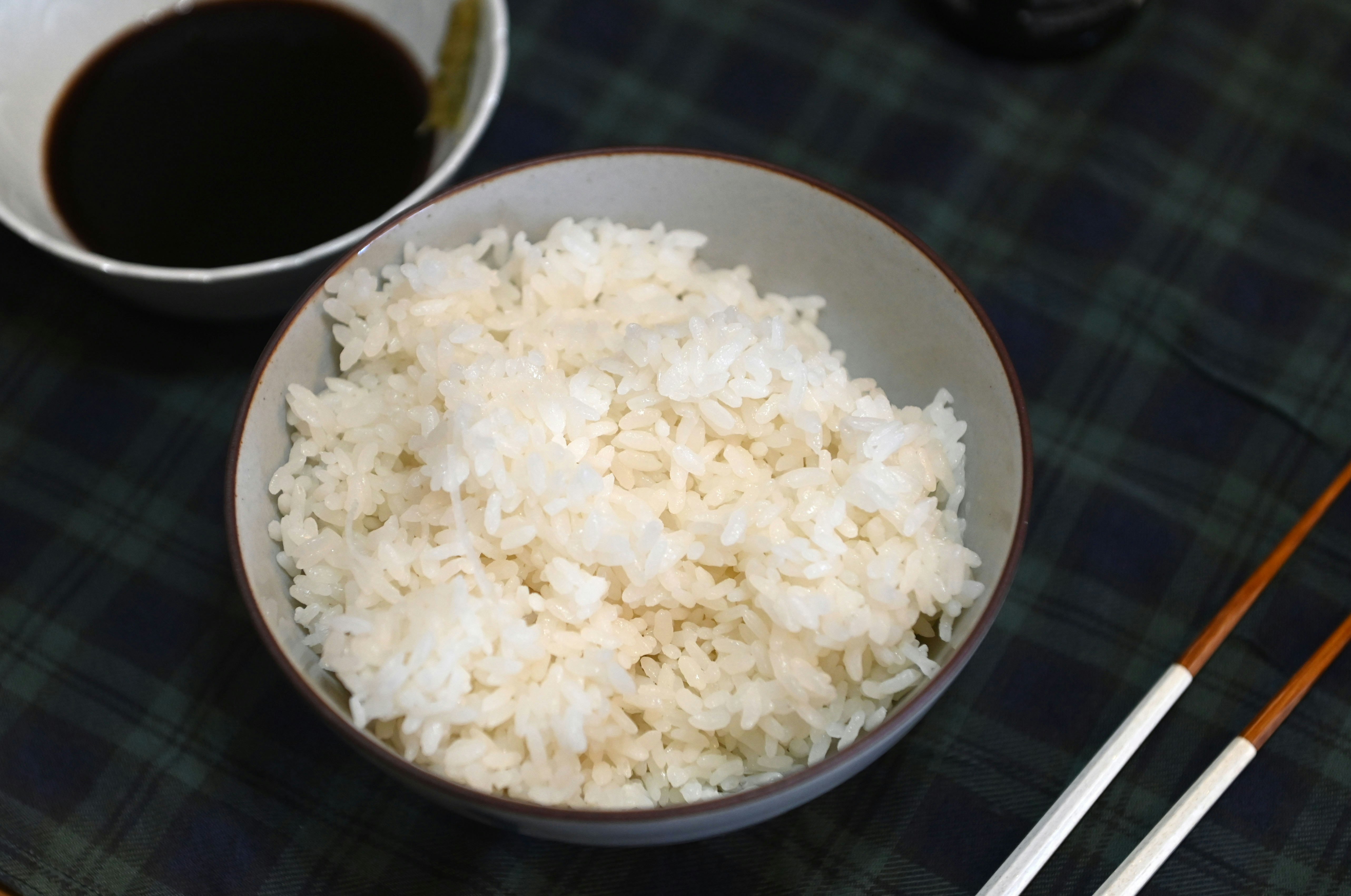 器に盛られた白いご飯