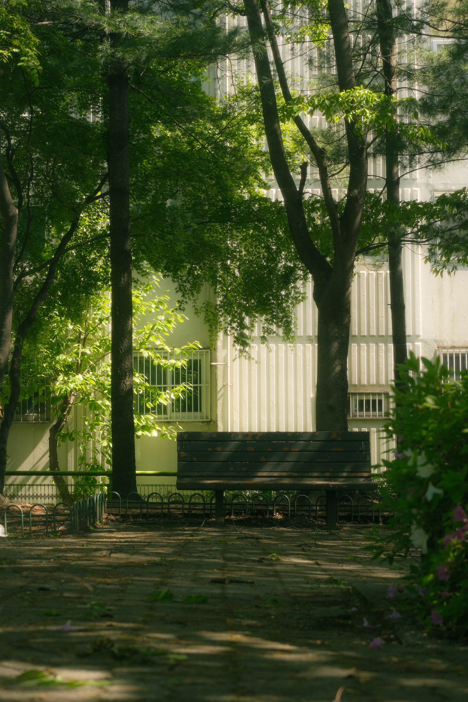 photo-PSh0tpctX7pMhmAljCwG-image