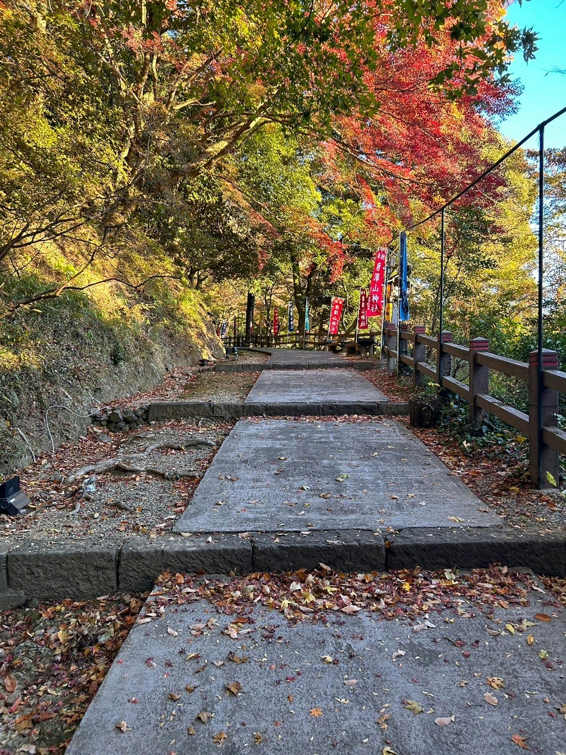 autumn maple trees and a stone path