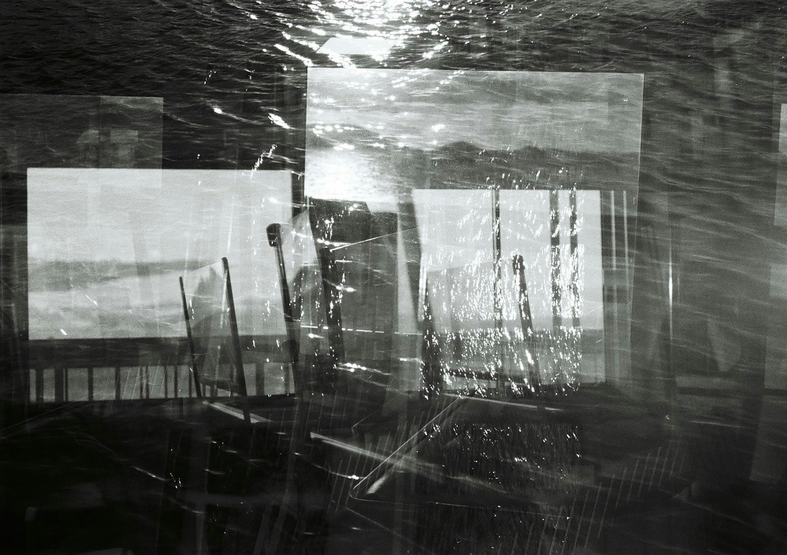 Foto en blanco y negro de reflejos en el agua mostrando ventanas y plantas
