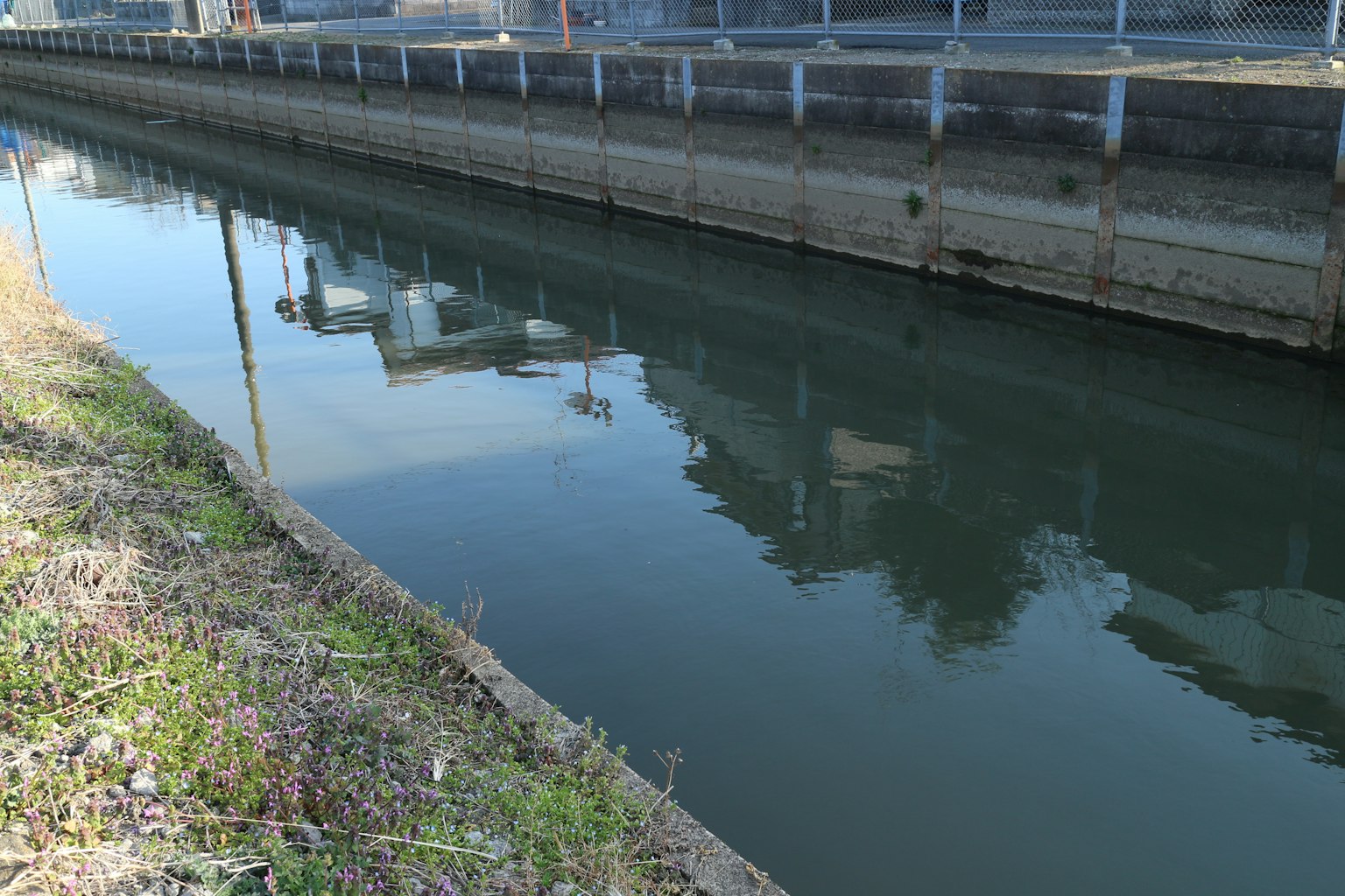 Calm canal reflecting surrounding scenery and grassy bank