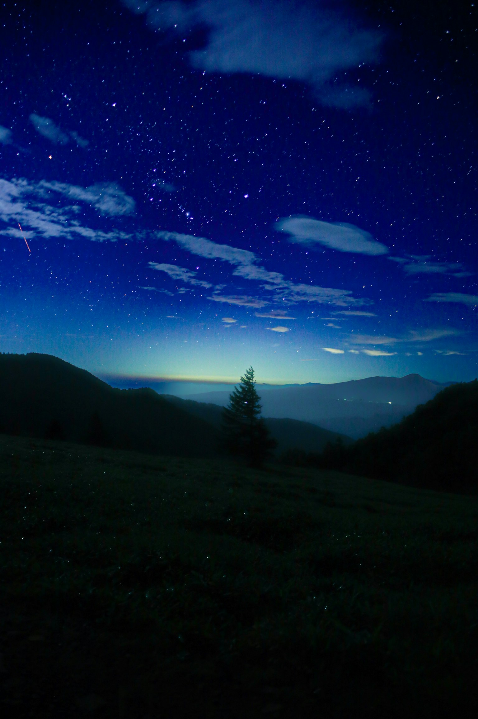 星空の下の山の風景とシルエットの木