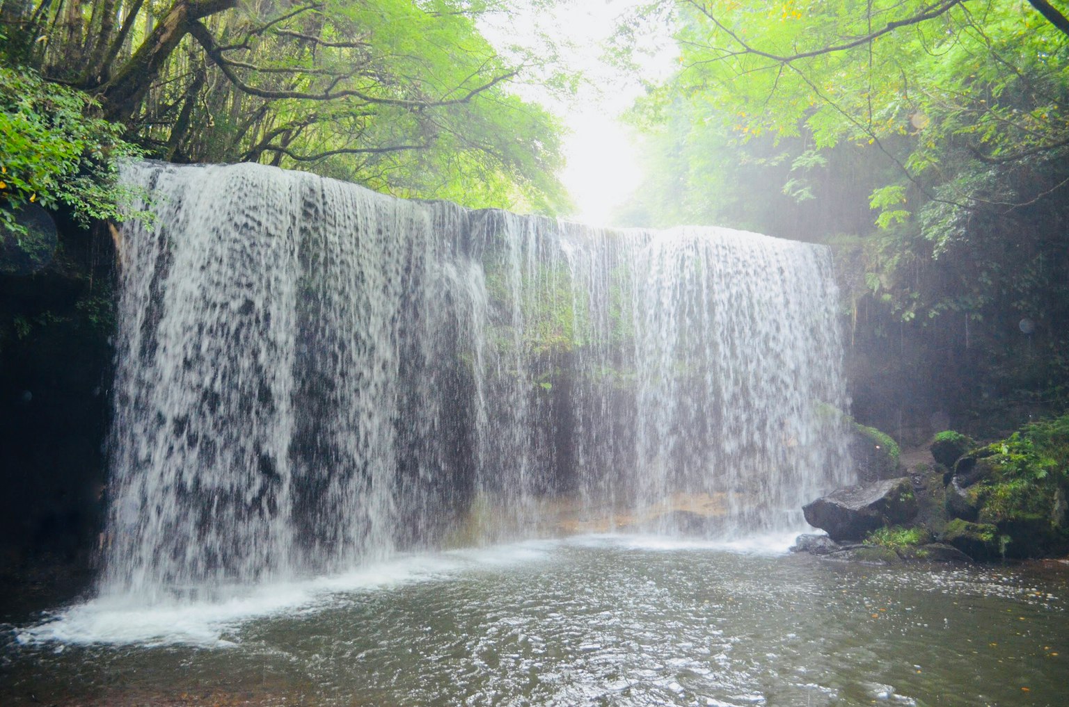 Una cascata serena circondata da una lussureggiante foresta verde