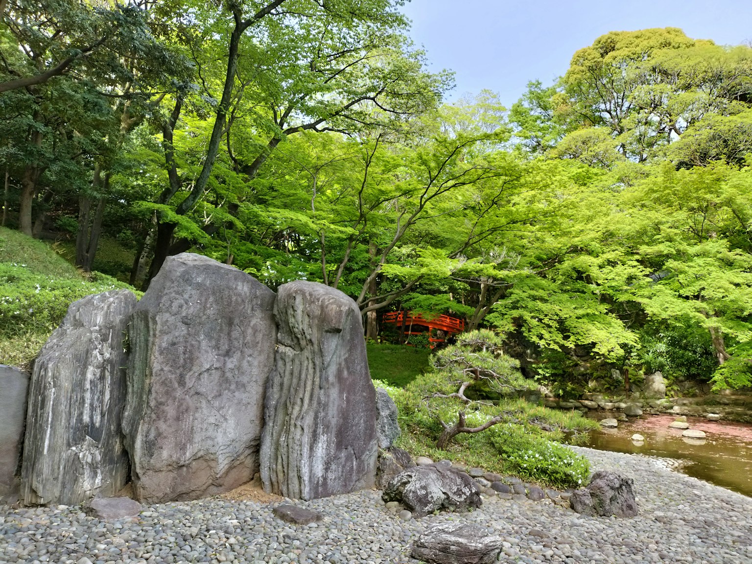 Une vue pittoresque d'un jardin luxuriant avec de grandes roches et un étang
