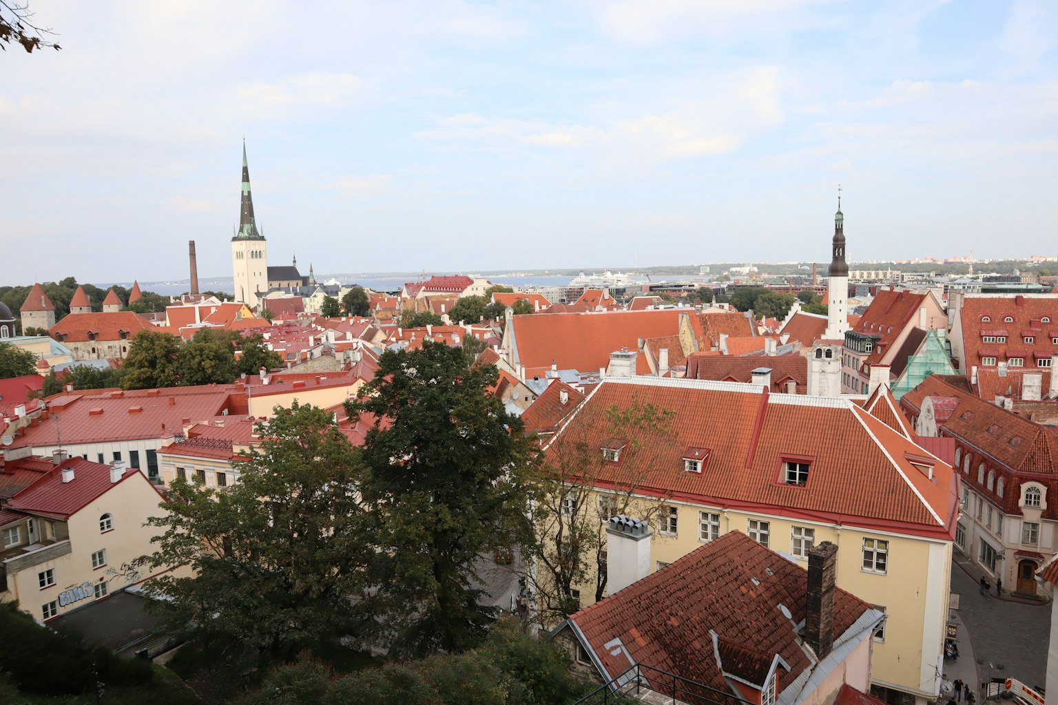 Vista aerea della città vecchia di Tallinn con tetti rossi e torri di chiese