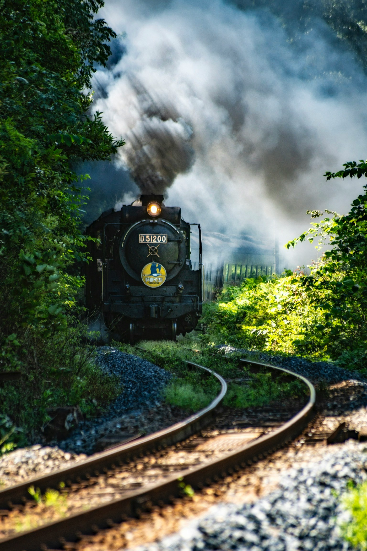 Locomotiva a vapore che viaggia su un binario tortuoso circondato da vegetazione