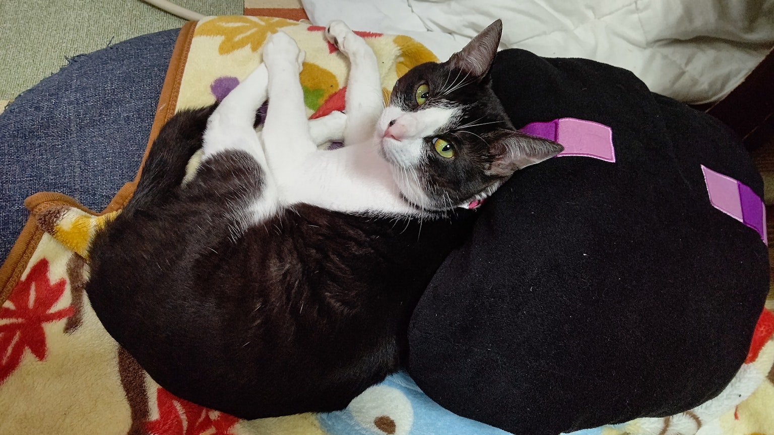Un gatto bianco e nero sdraiato su un cuscino nero