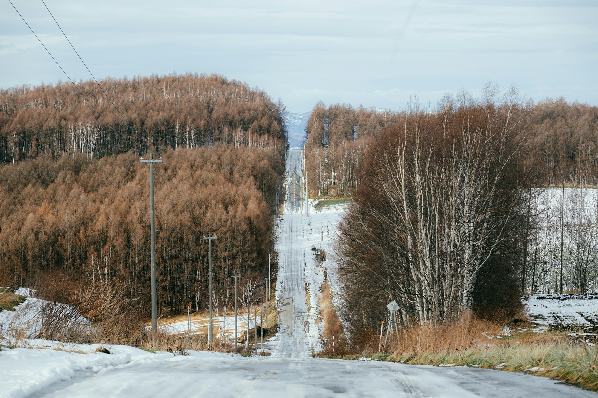 覆雪的道路穿越冬季森林