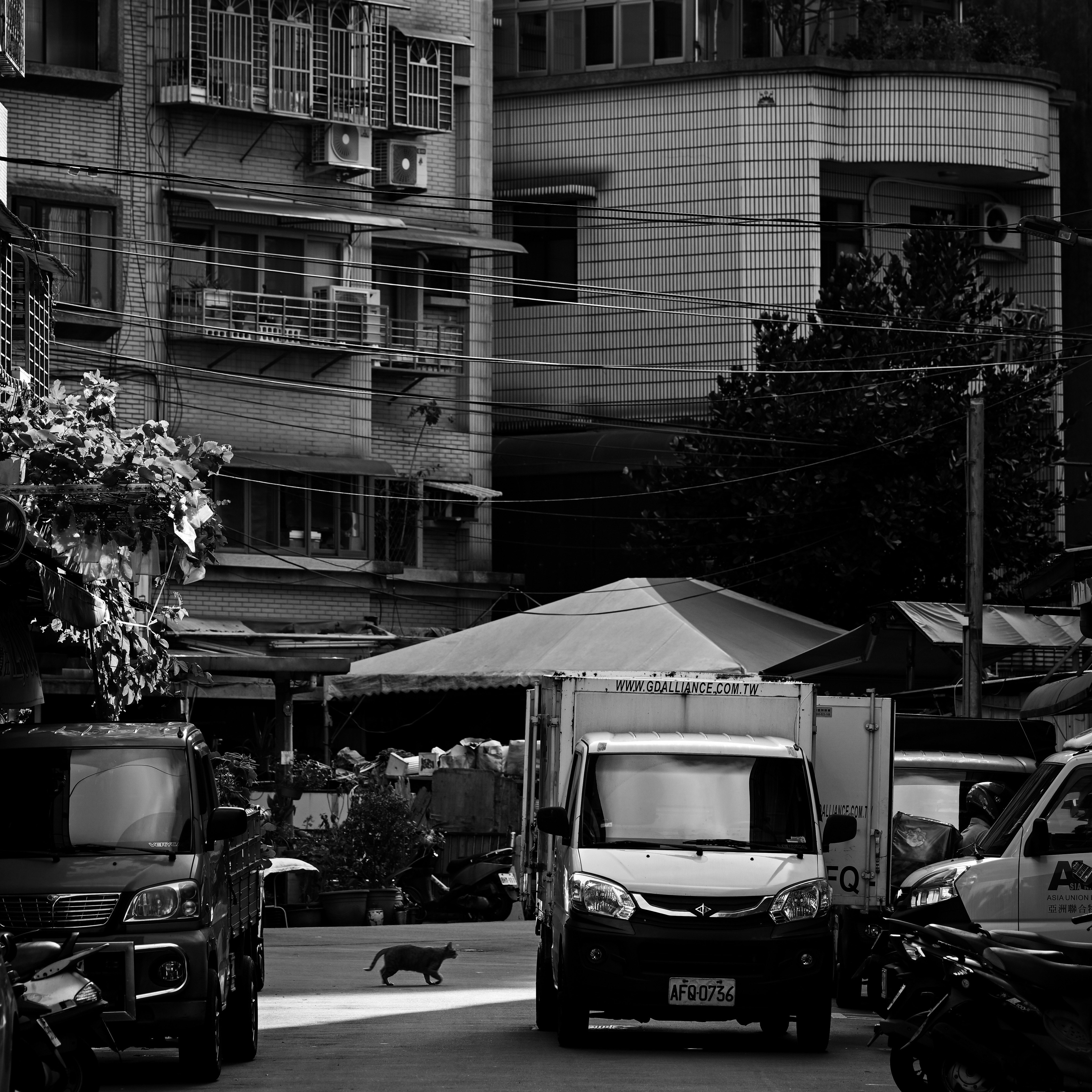 路地の駐車車両と軒先のある商店街のモノクロ風景