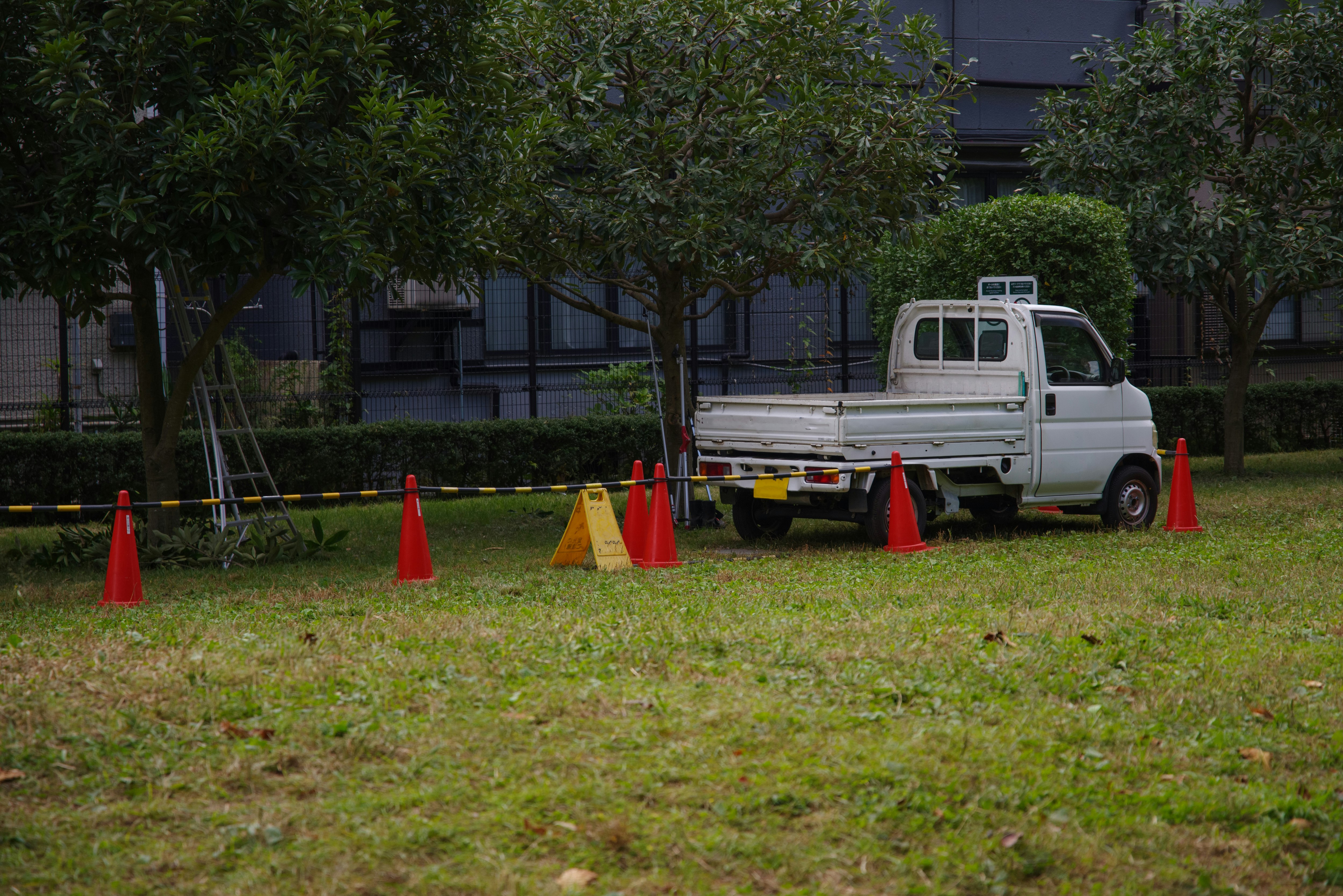 草地上停放的小型卡車與橙色路錐
