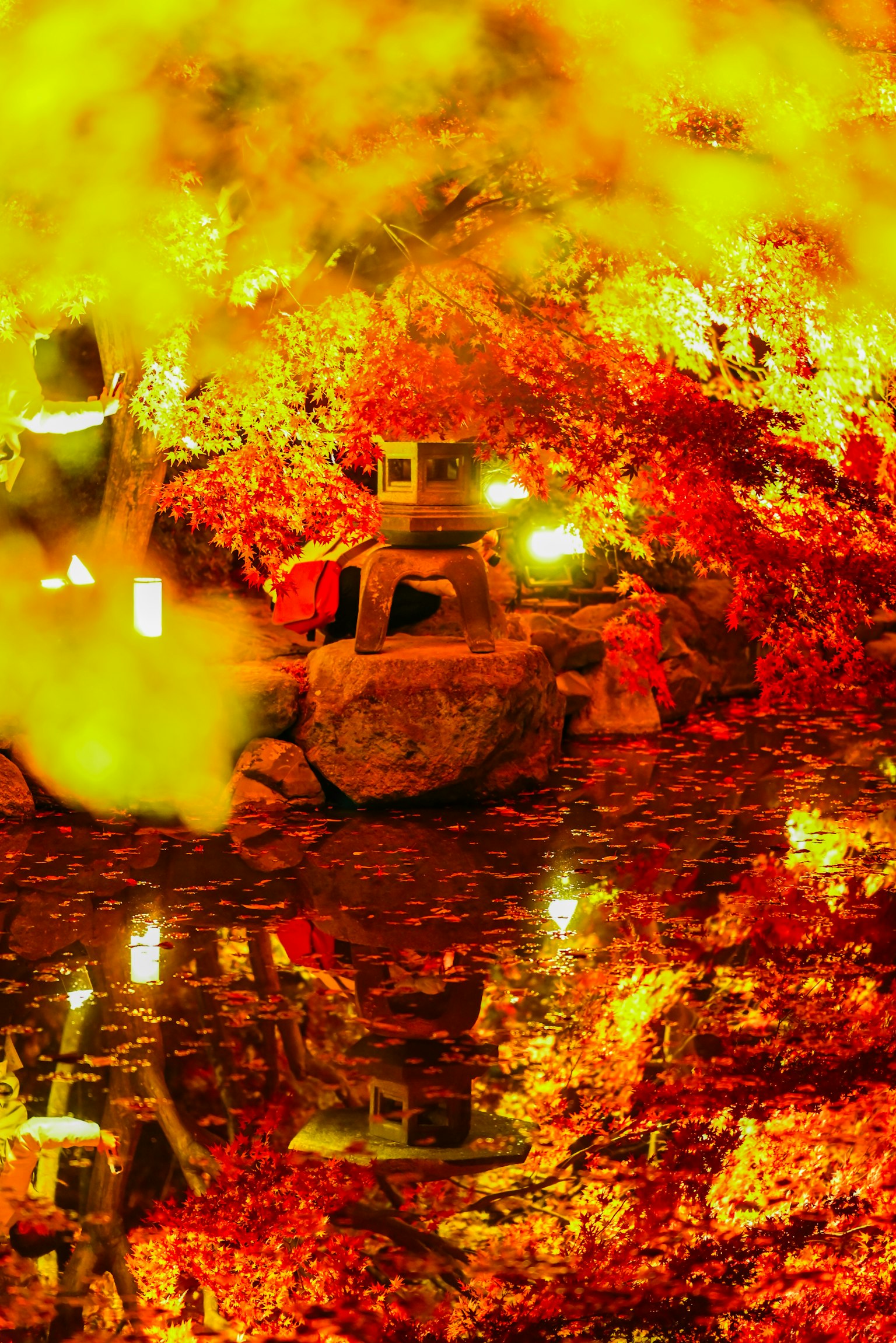 生動的秋葉與水面上的燈光倒影