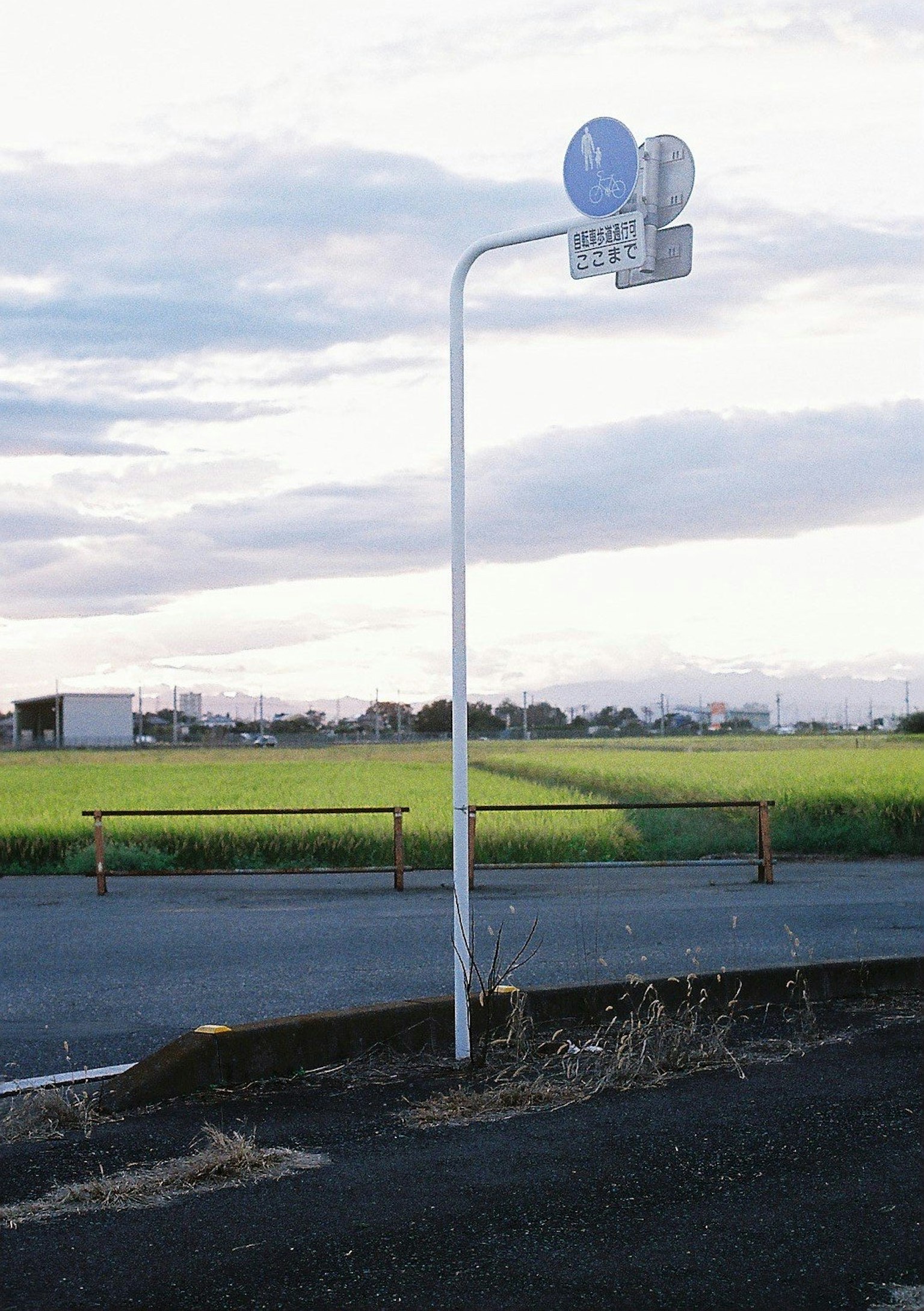 Paesaggio rurale con un semaforo blu su un palo bianco