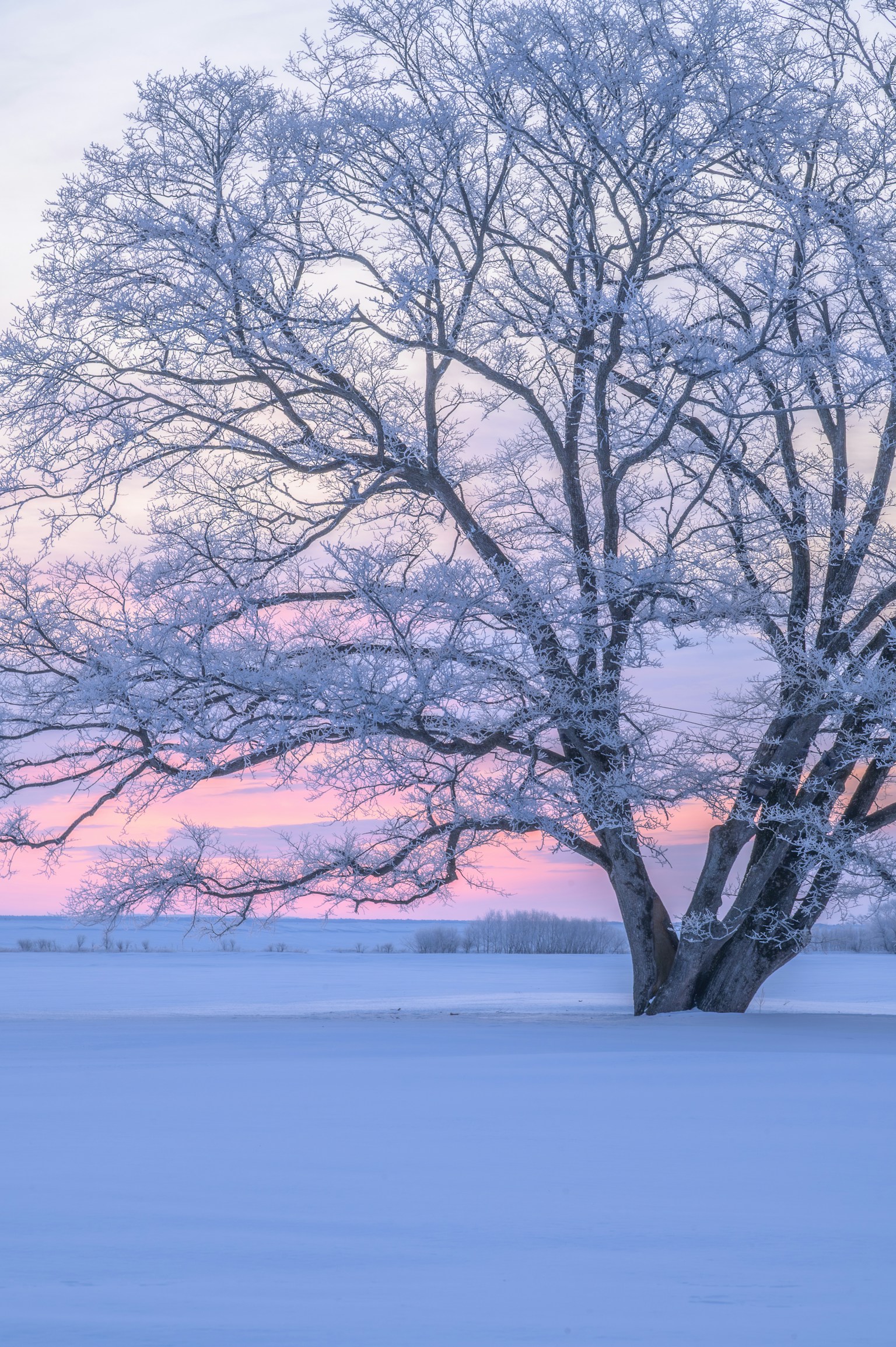 photo-PXkiqELL5UomUCdICo8P-image