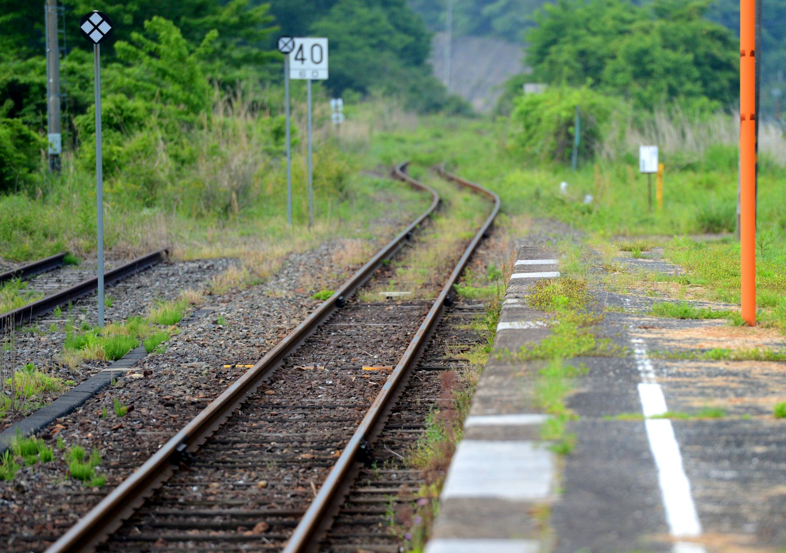 Train tracks winding through a lush green landscape