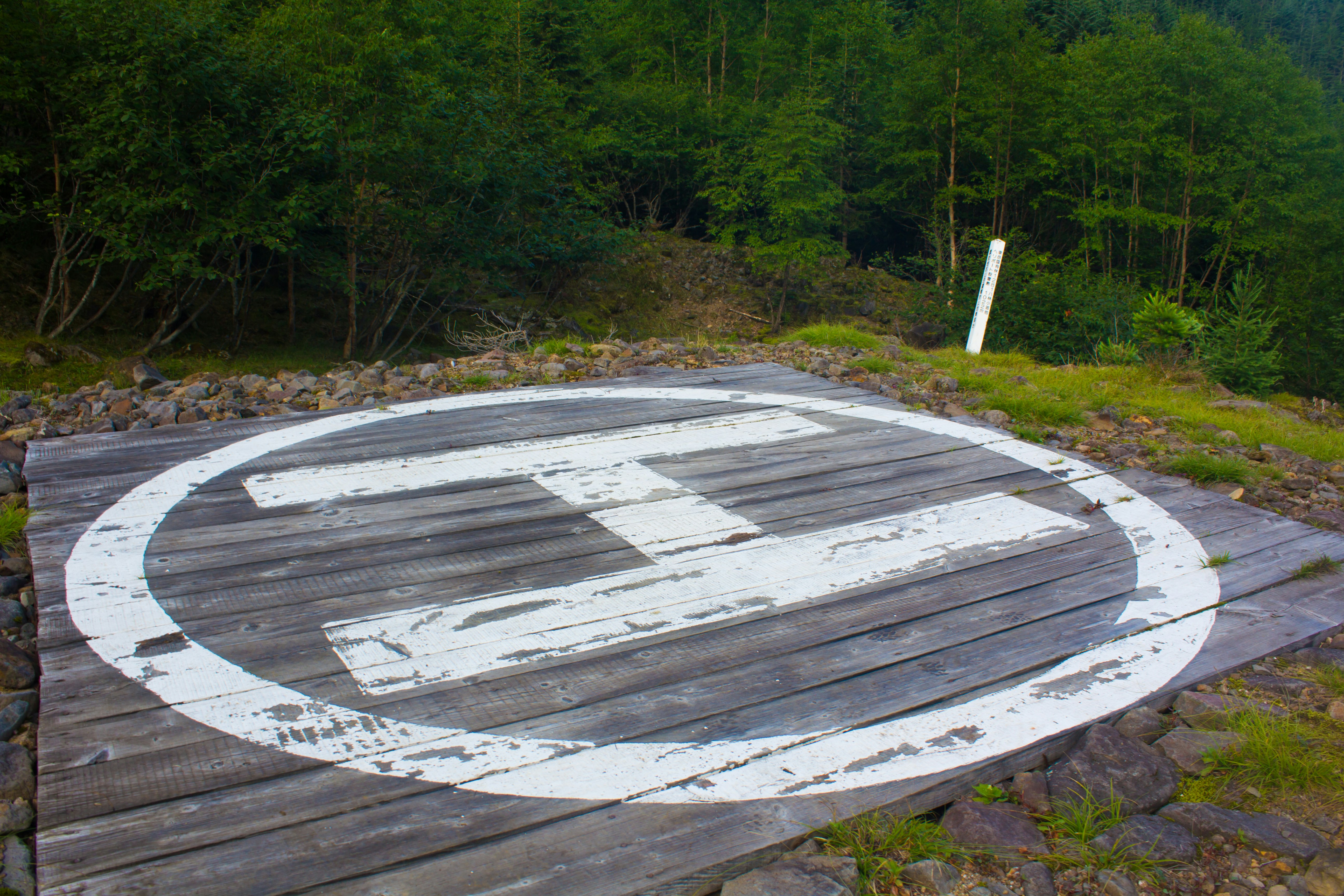 wooden circular sign in the forest