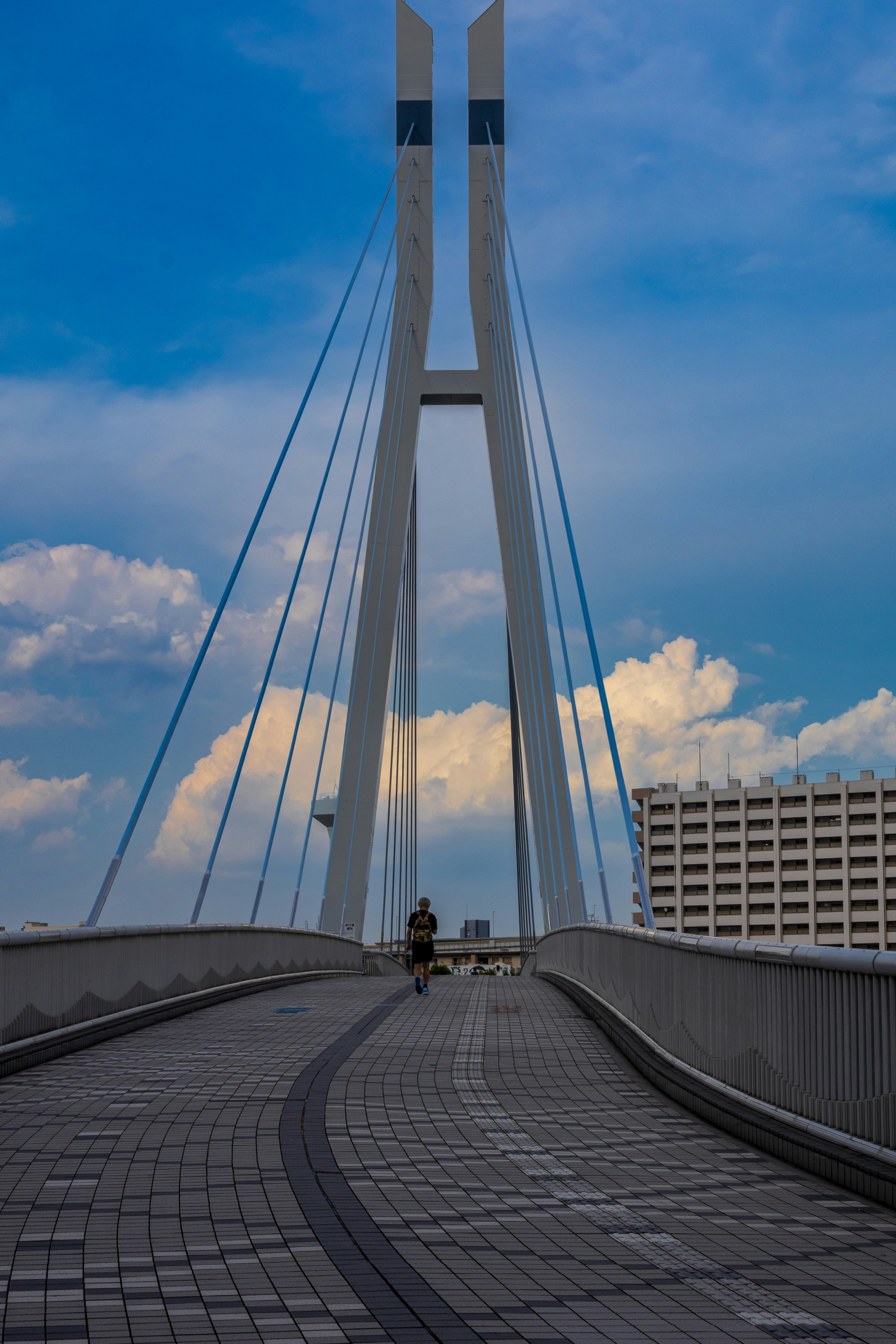 青空の下の高架歩道とケーブルのある橋