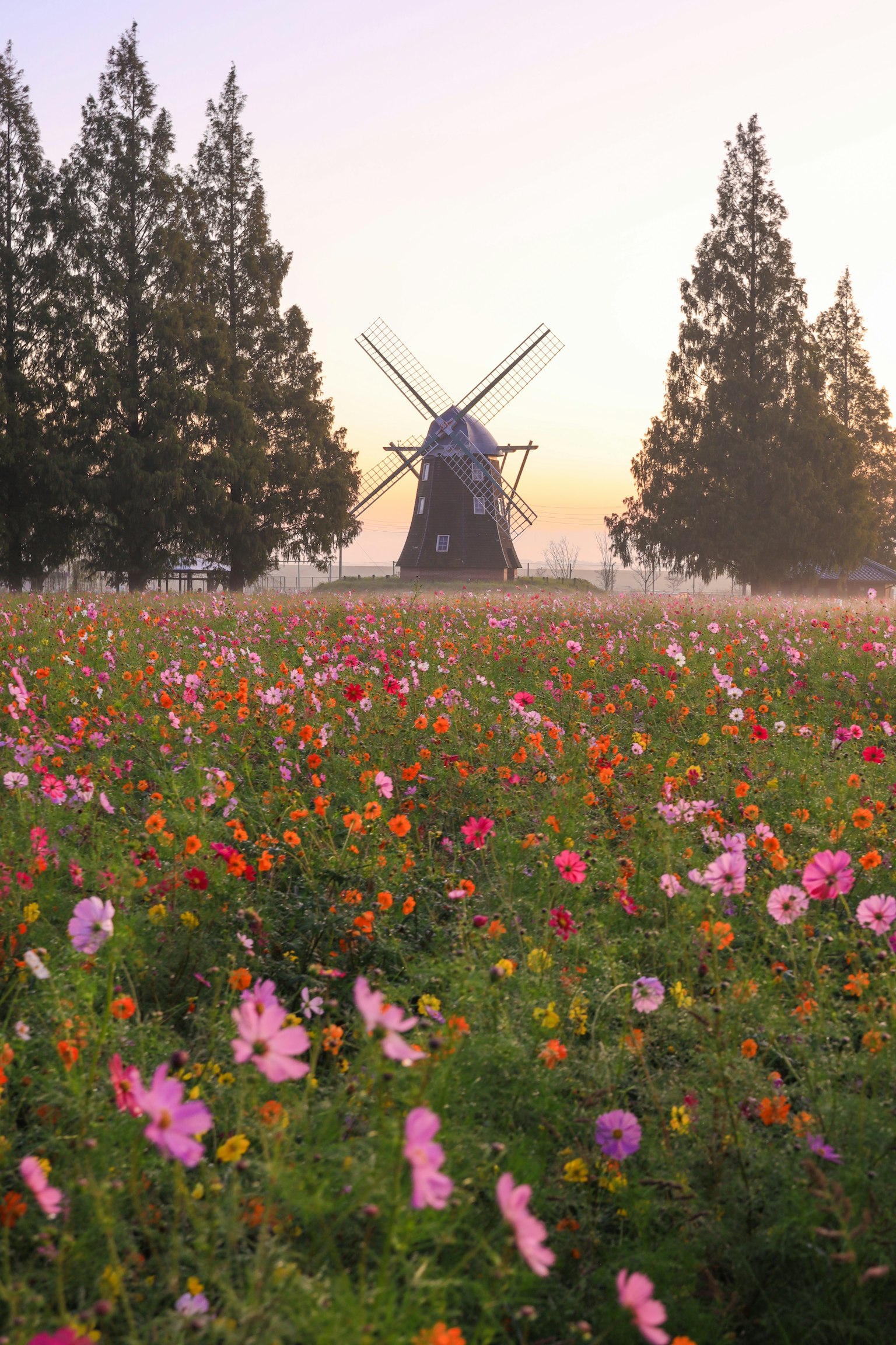 Eine malerische Ansicht eines Feldes voller bunter Blumen und einer Windmühle
