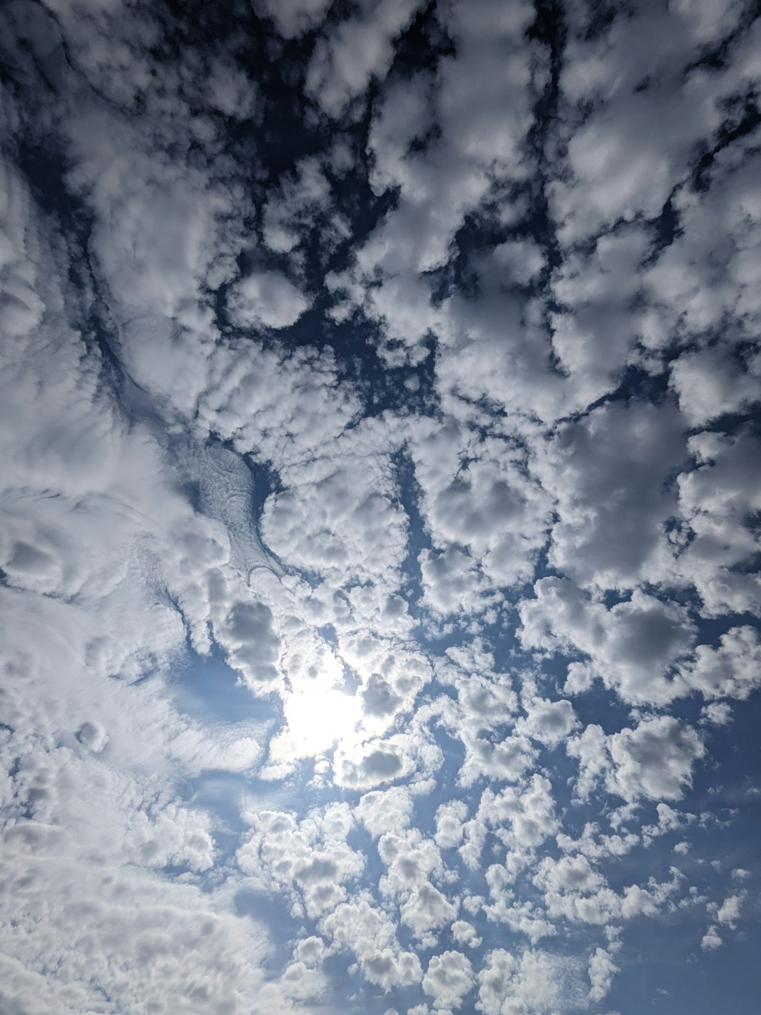 Cielo blu pieno di nuvole bianche e luce solare che splende