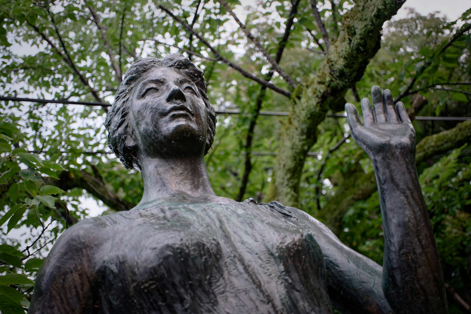 Estatua de bronce levantando una mano rodeada de árboles frondosos