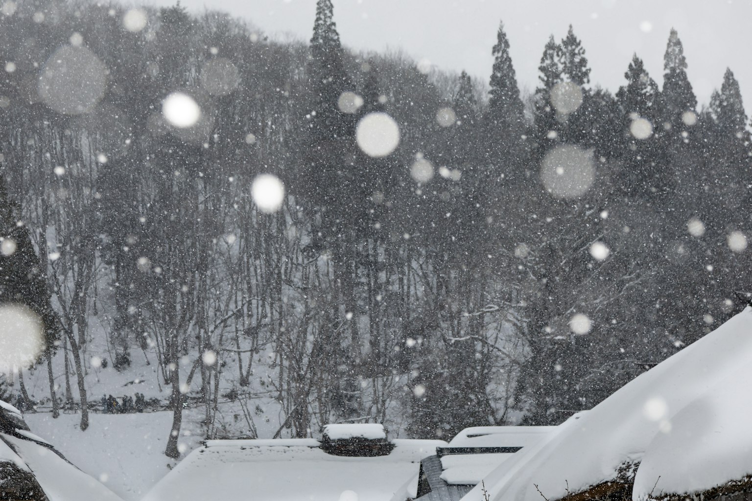 下雪的风景与屋顶