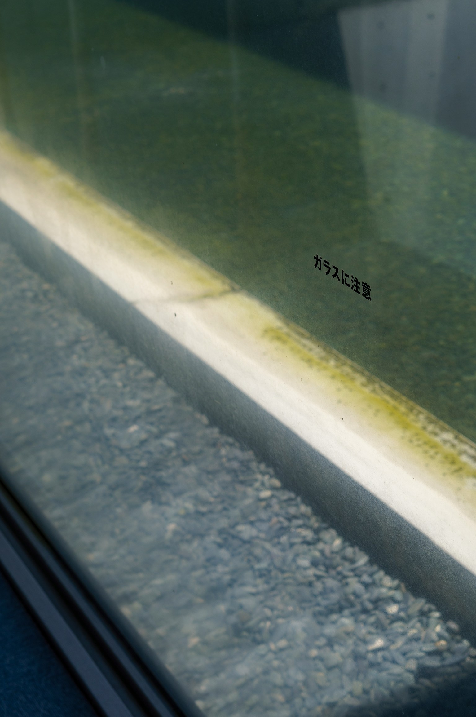 Refleksi pada kaca dengan batas rumput hijau