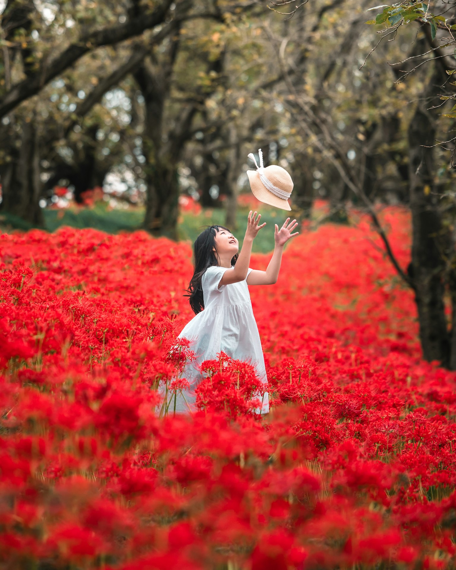 女孩在紅色花田中投擲帽子