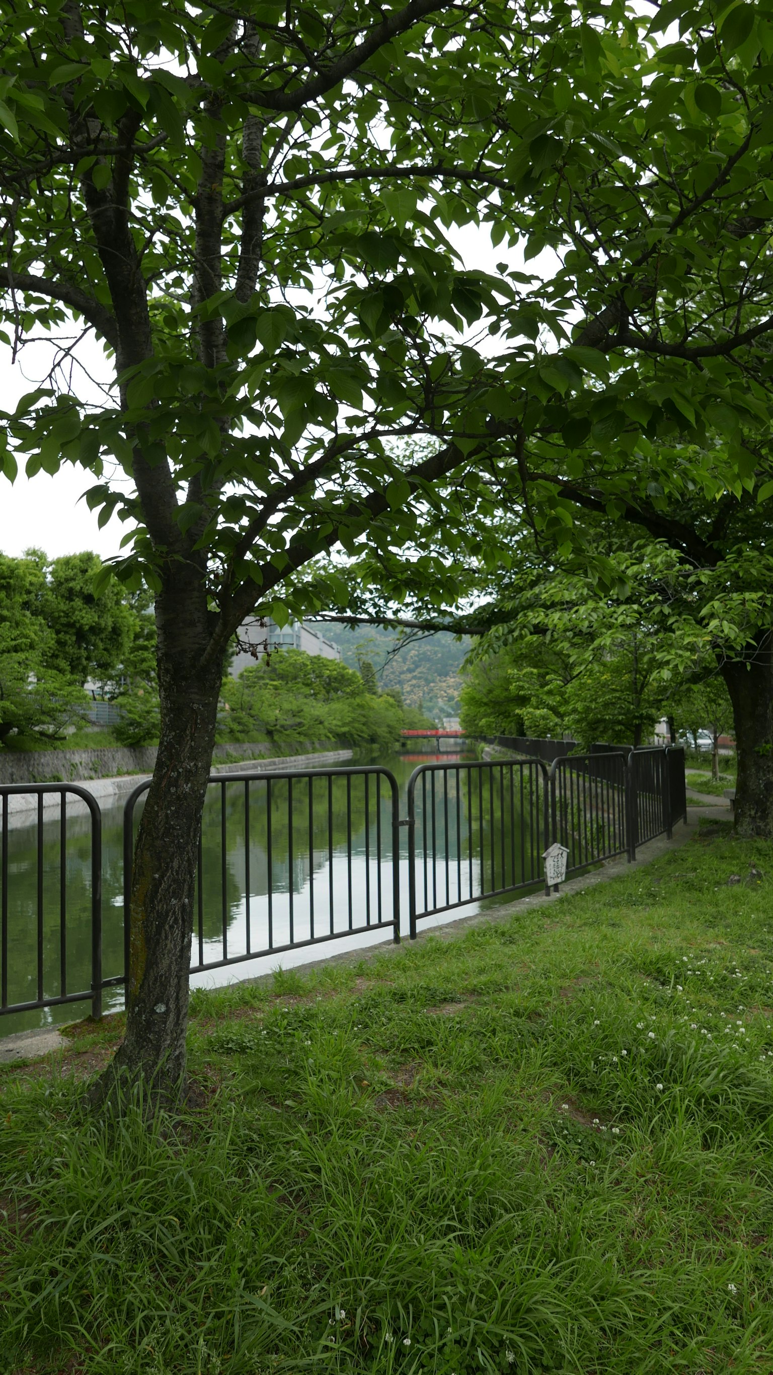 Ruhige Flusslandschaft mit grünen Bäumen und einem Zaun