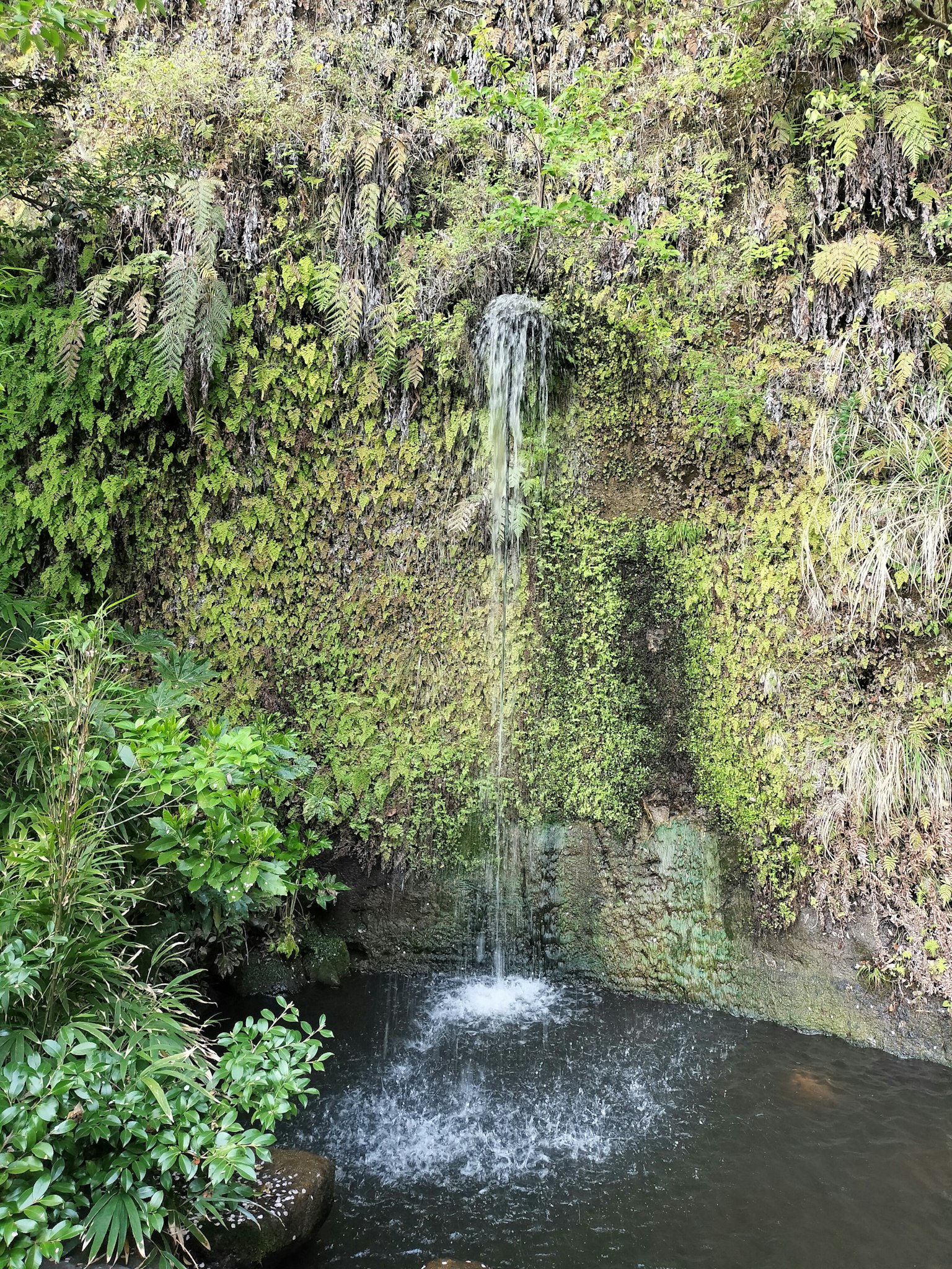 Vista panoramica di una cascata circondata da vegetazione lussureggiante