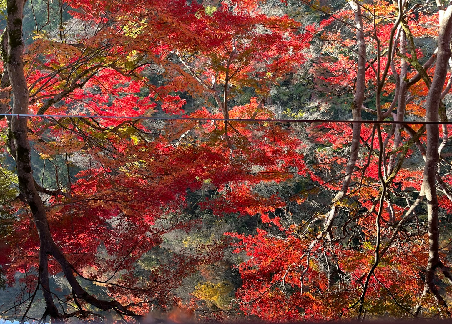 Malereischer Reflexion des Herbstlaubes im Wasser