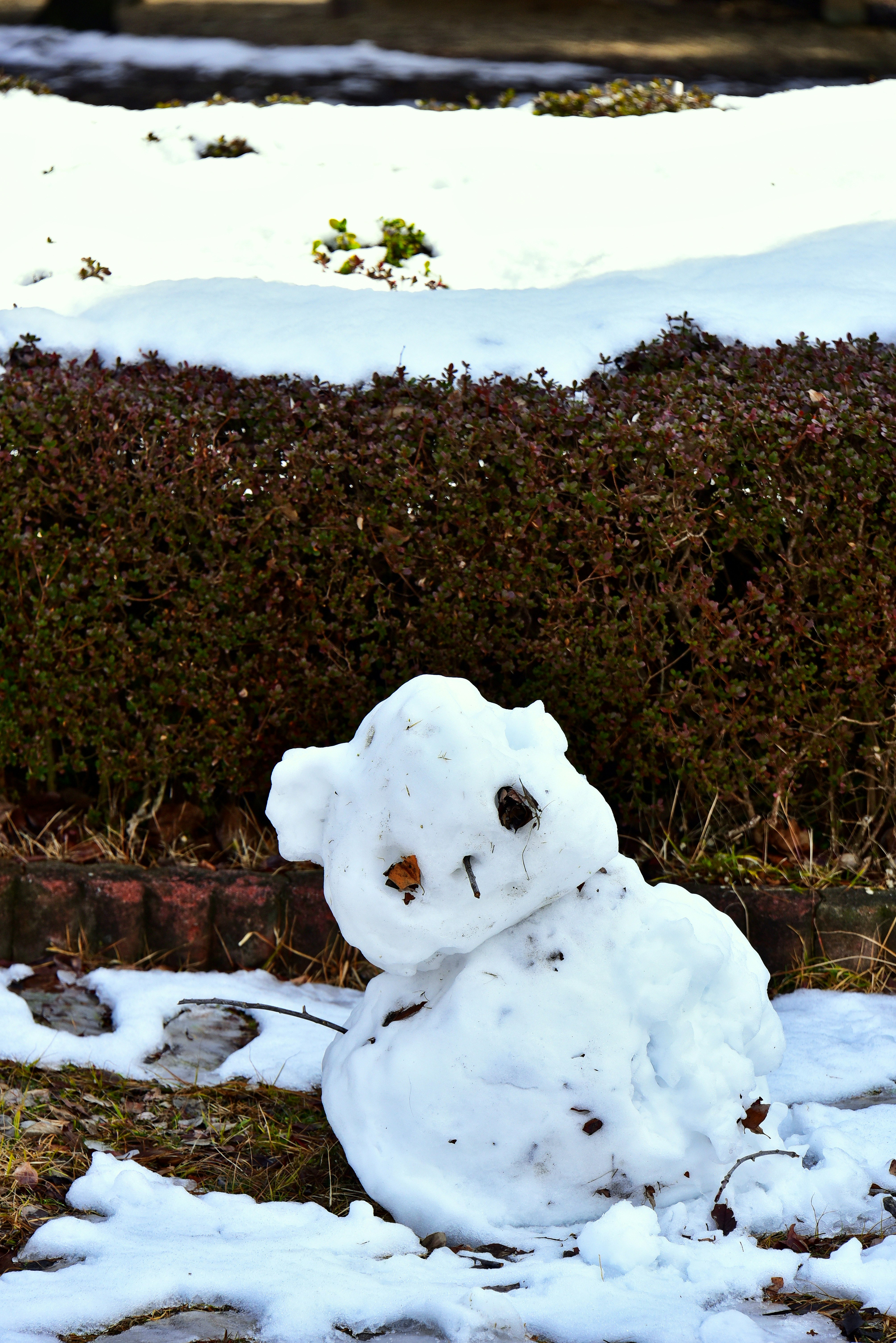 雪だるまが雪の中に座っている様子 背景には雪の積もった草が見える