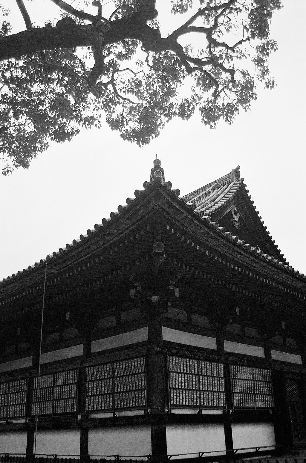 Toit d’un temple traditionnel vu depuis dessous les branches d’arbres
