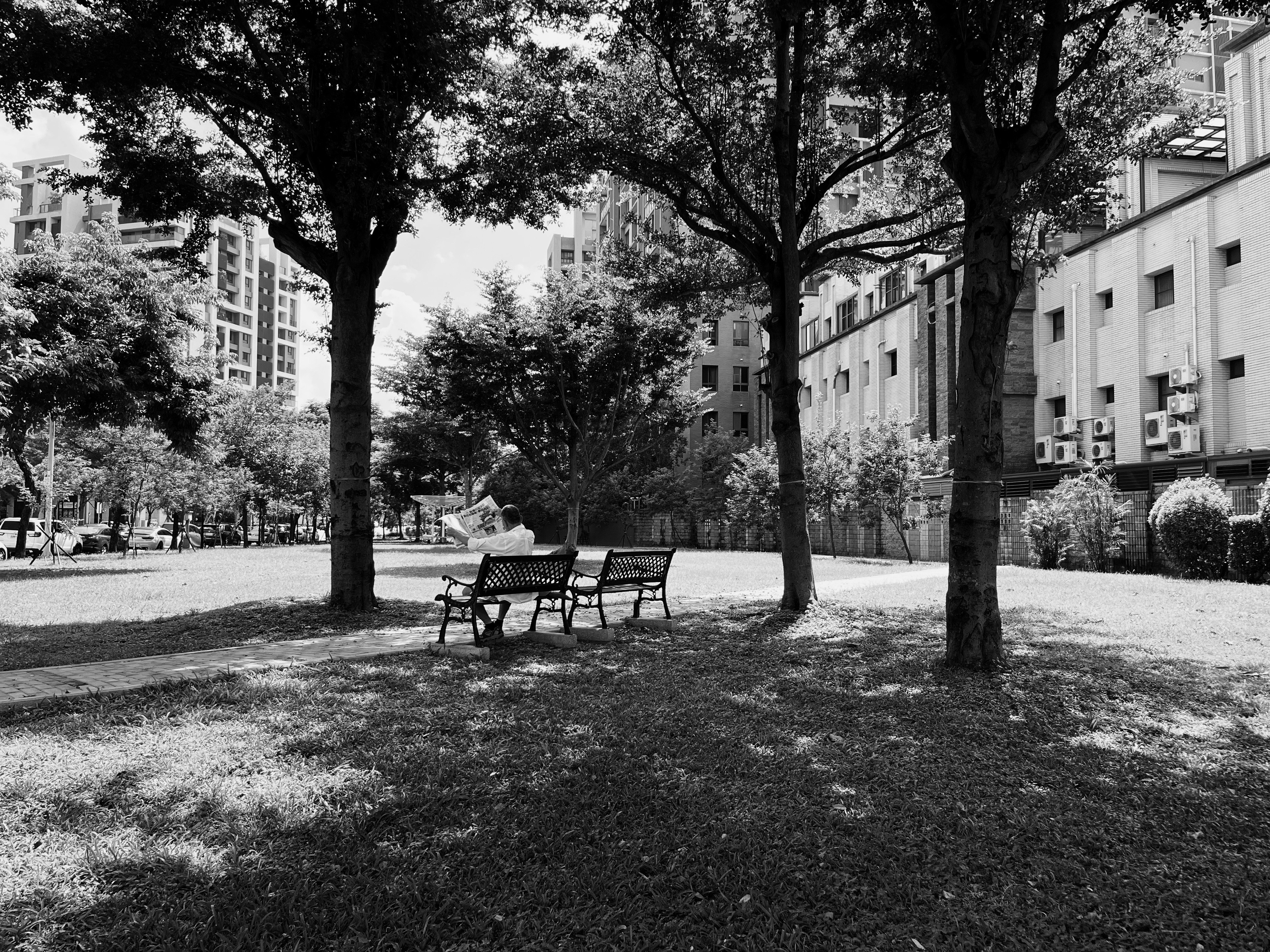 städtischer Innenhof mit Bänken auf Rasen und baumbestandener Allee